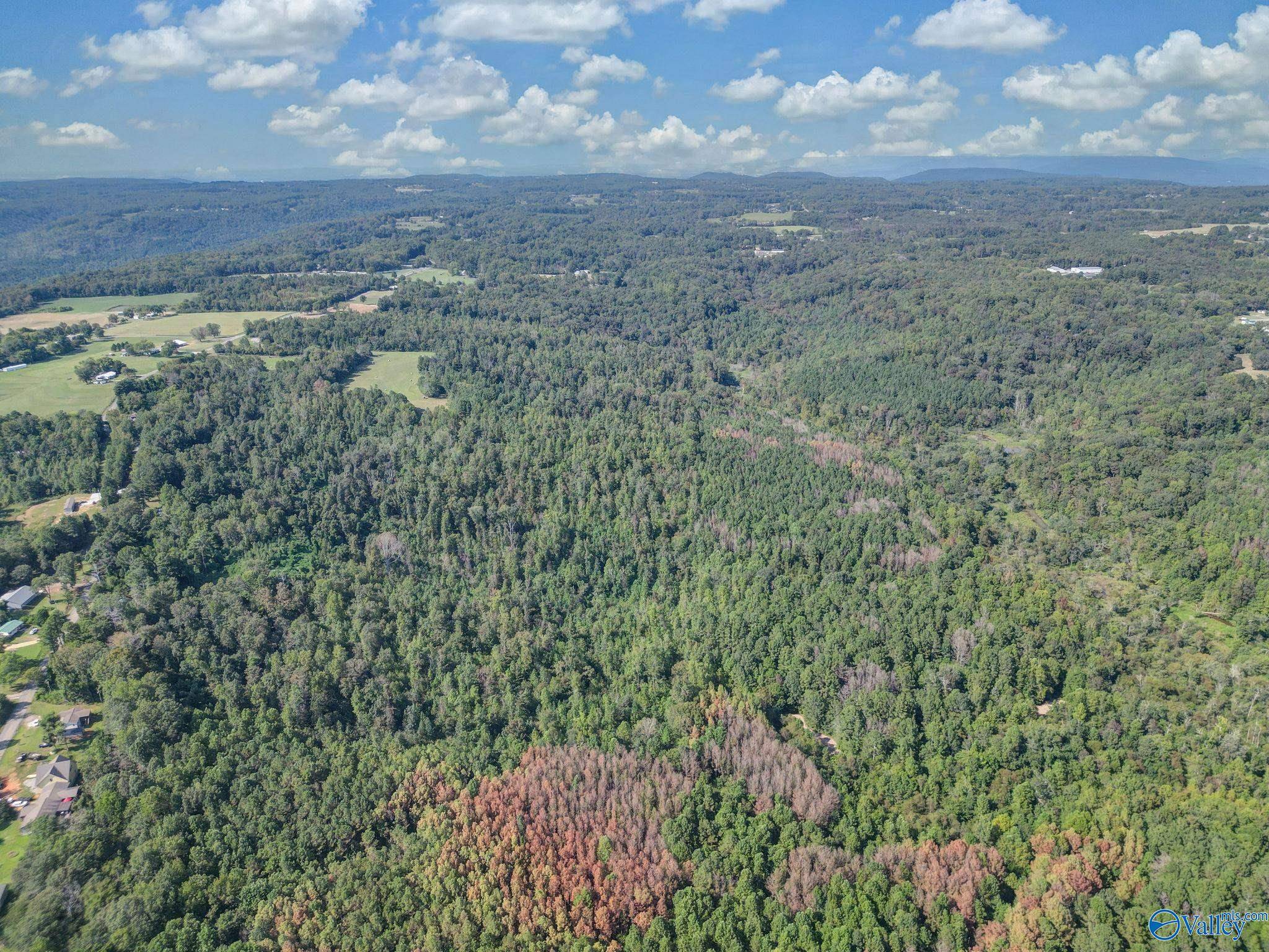 Union Grove, AL 35175,35 ACRES Pine Ridge Road