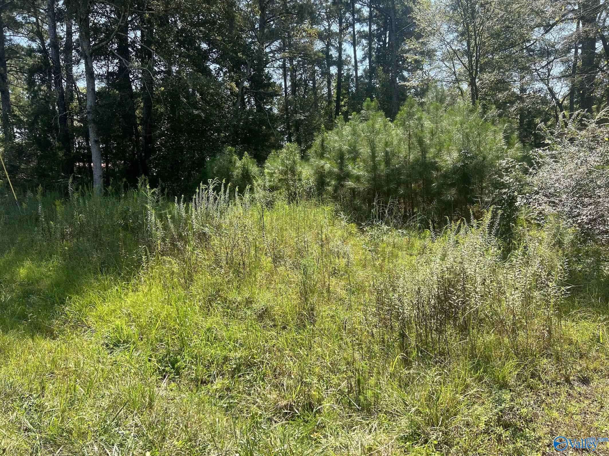 Somerville, AL 35670,297 Benson Road