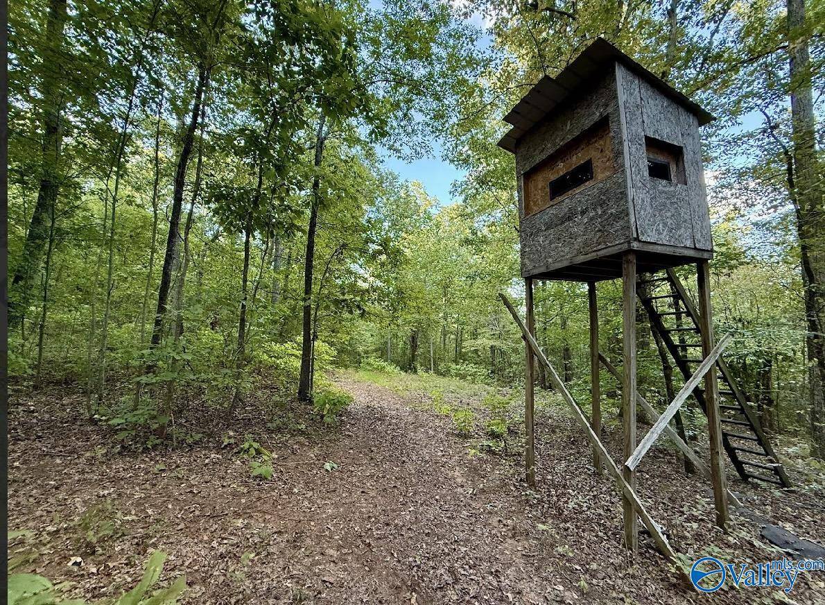 Grant, AL 35747,801 Johnson Hollow Road