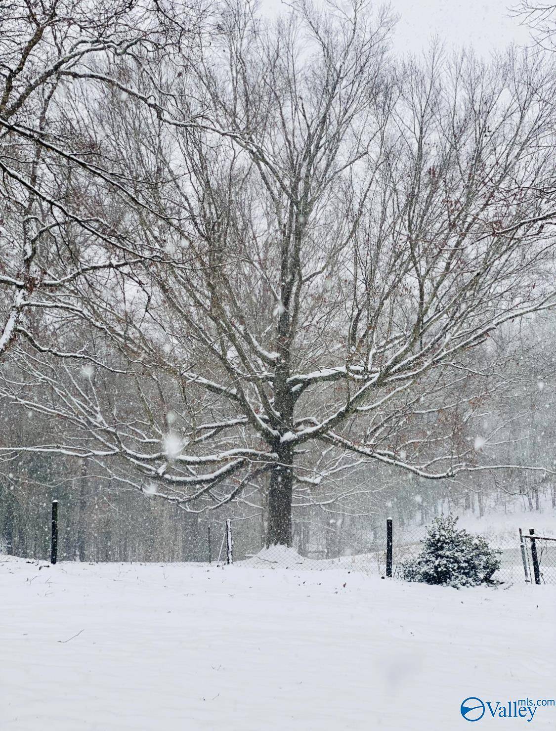 Valley Head, AL 35989,314 County Road 955