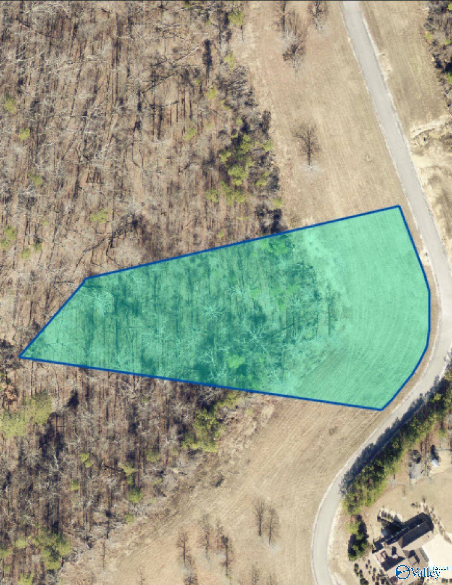 Cedar Bluff, AL 35959,Lot 49 County Road 767 #49