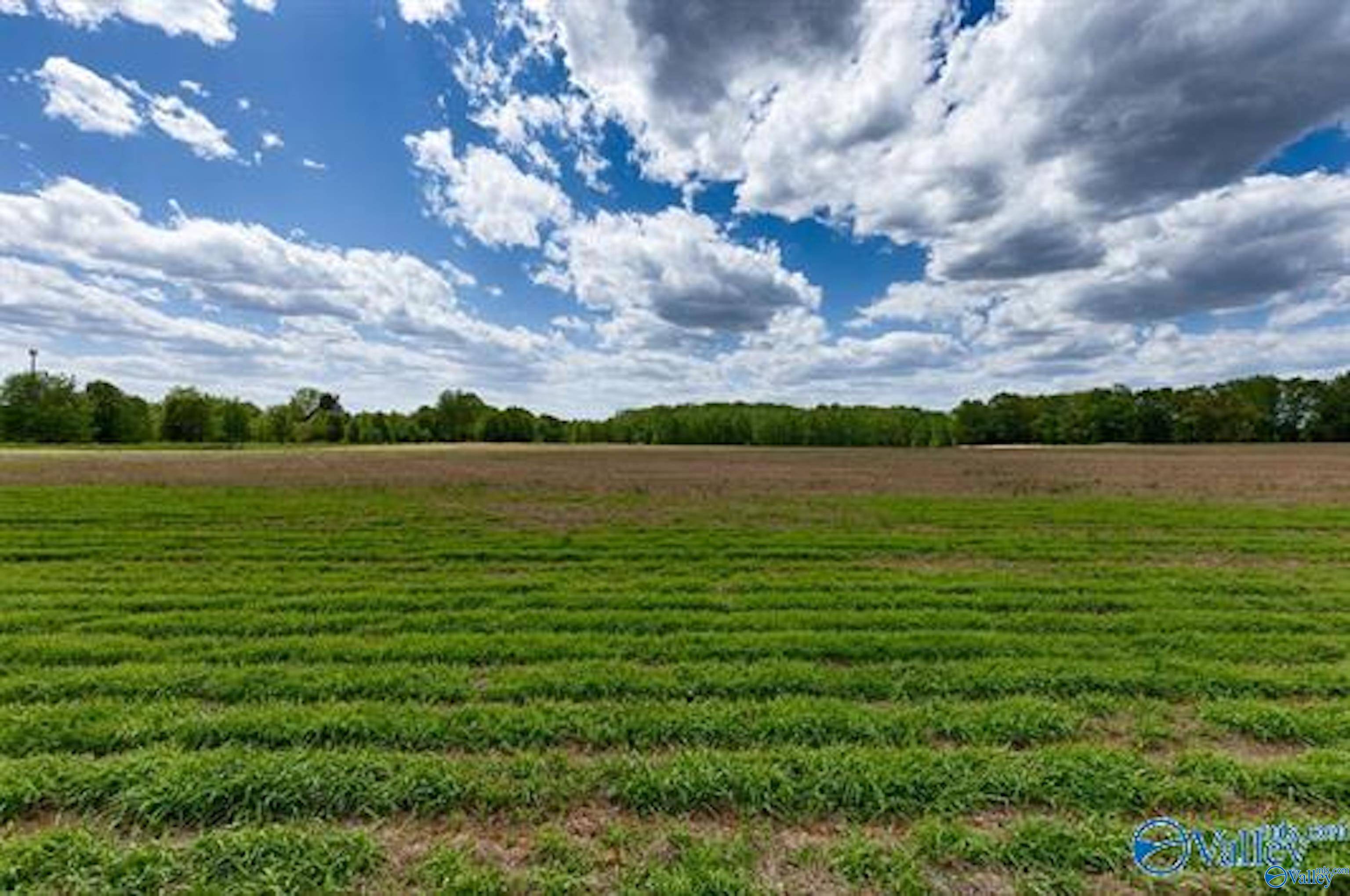 New Market, AL 35761,66 Acres Mint Road