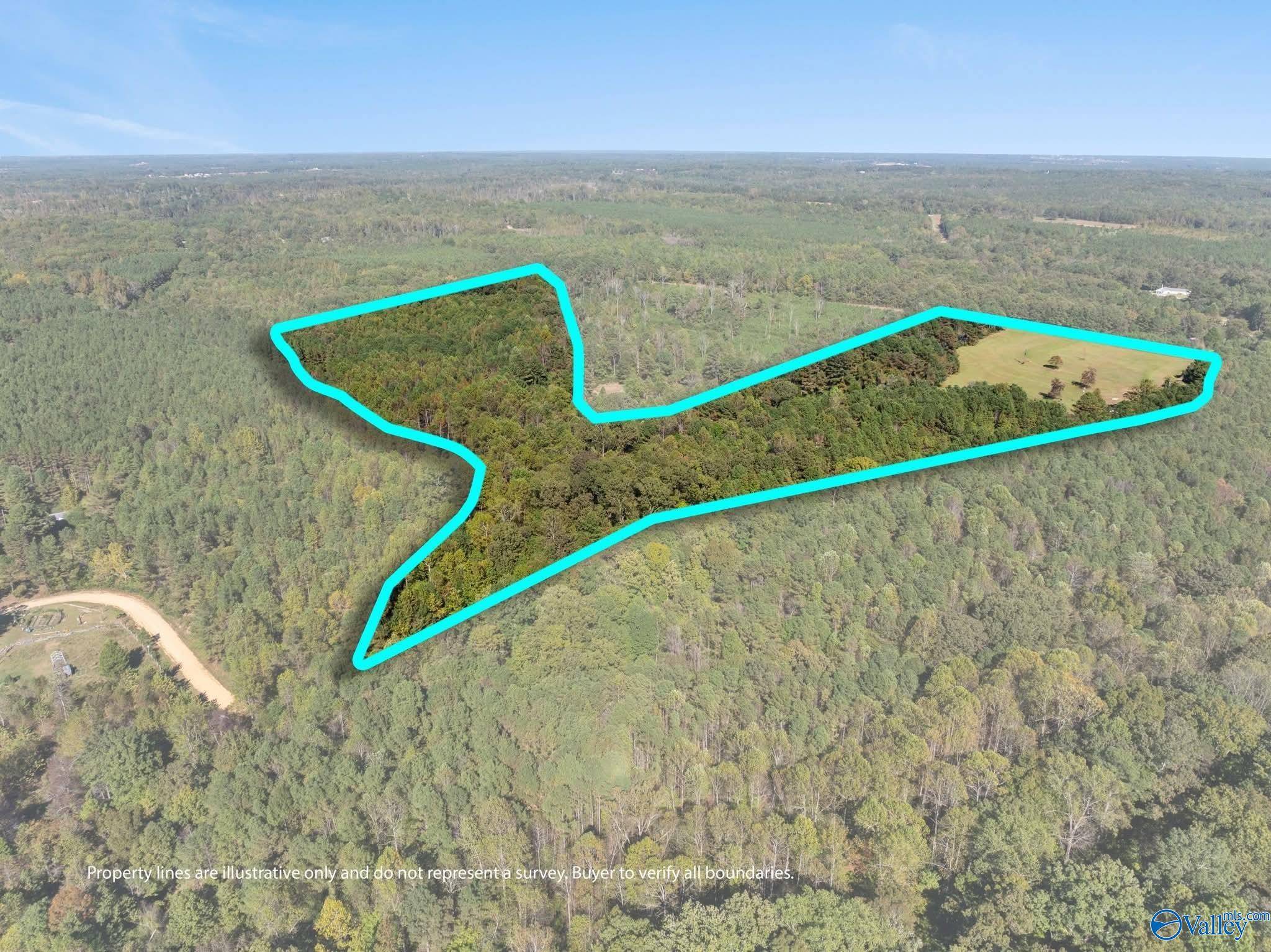 Hamilton, AL 35570,31.1 acres W County Highway 73