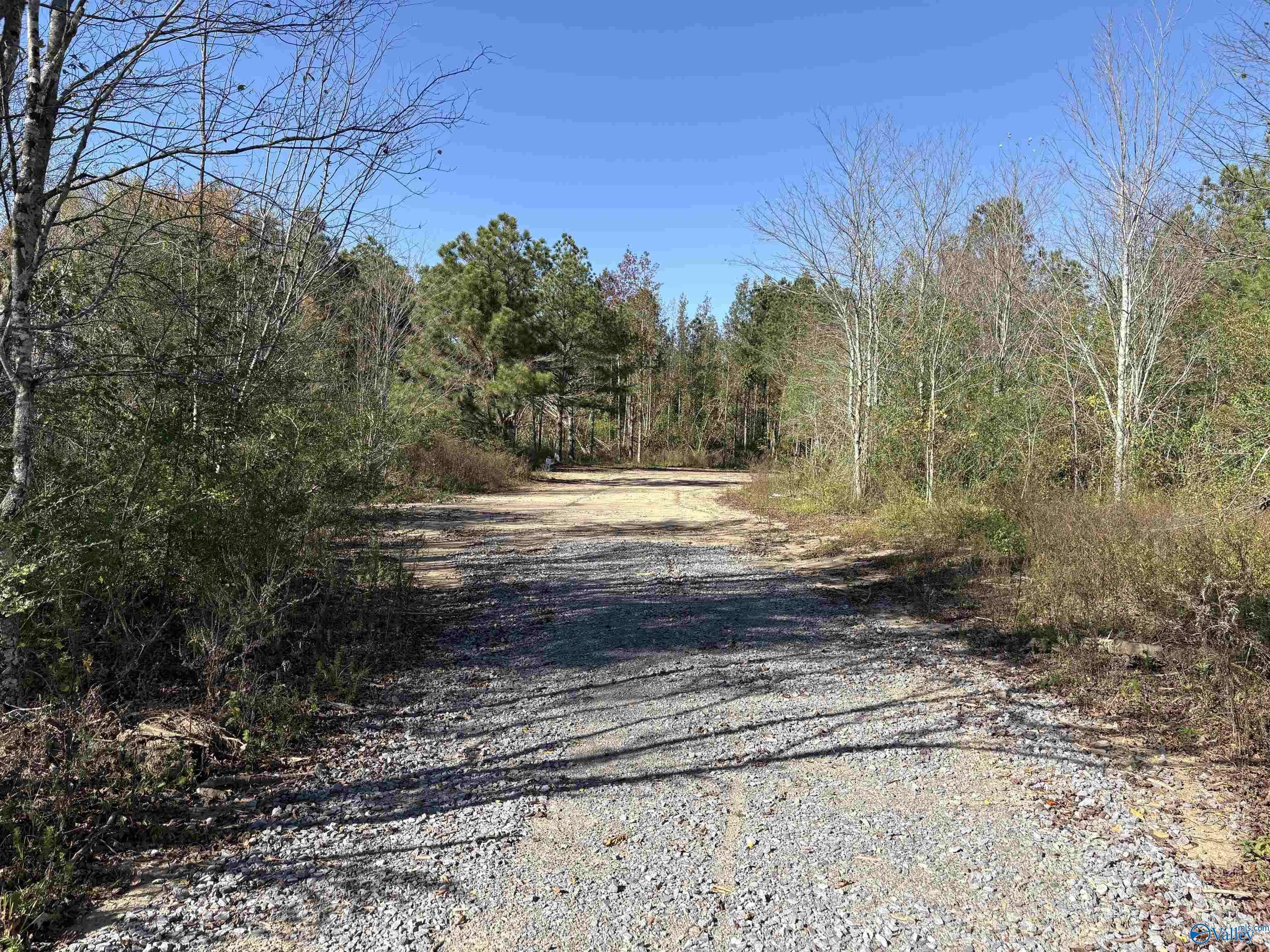 Henagar, AL 35978,Lot 4 Hwy 40