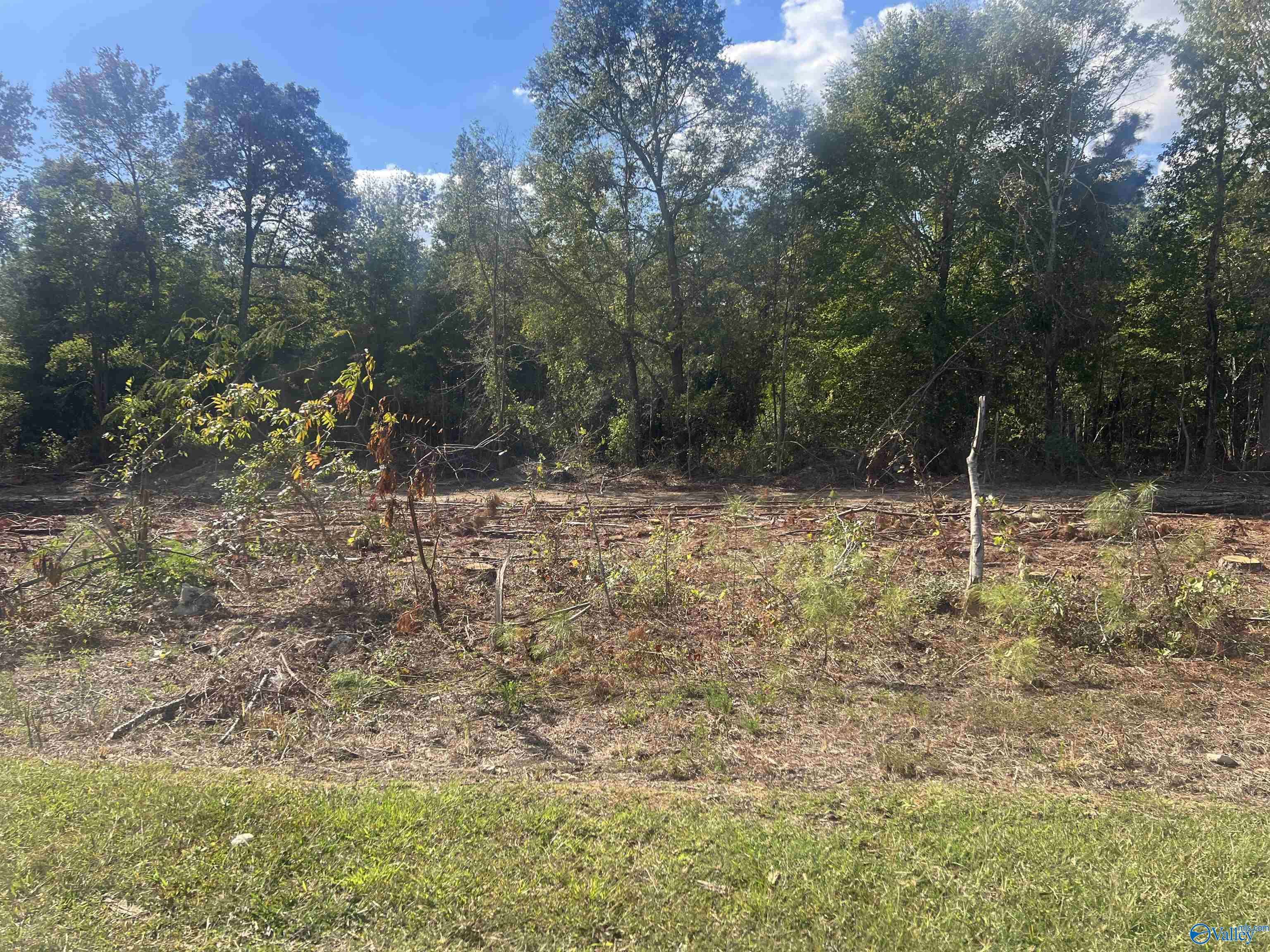 Cedar Bluff, AL 35959,Lot 4, Tract 3 Summer Breeze Drive