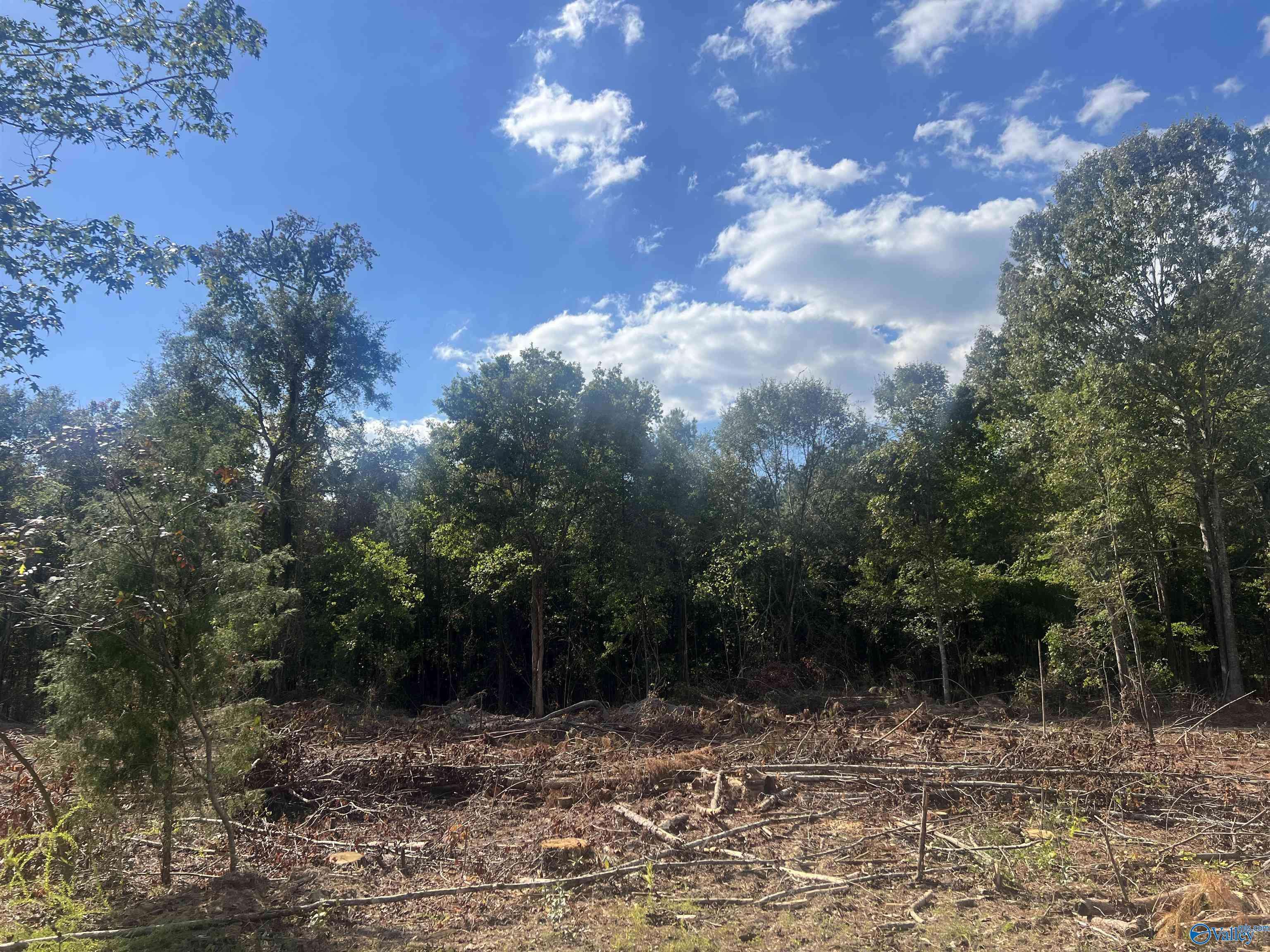 Cedar Bluff, AL 35959,Lot 4, Tract 3 Summer Breeze Drive
