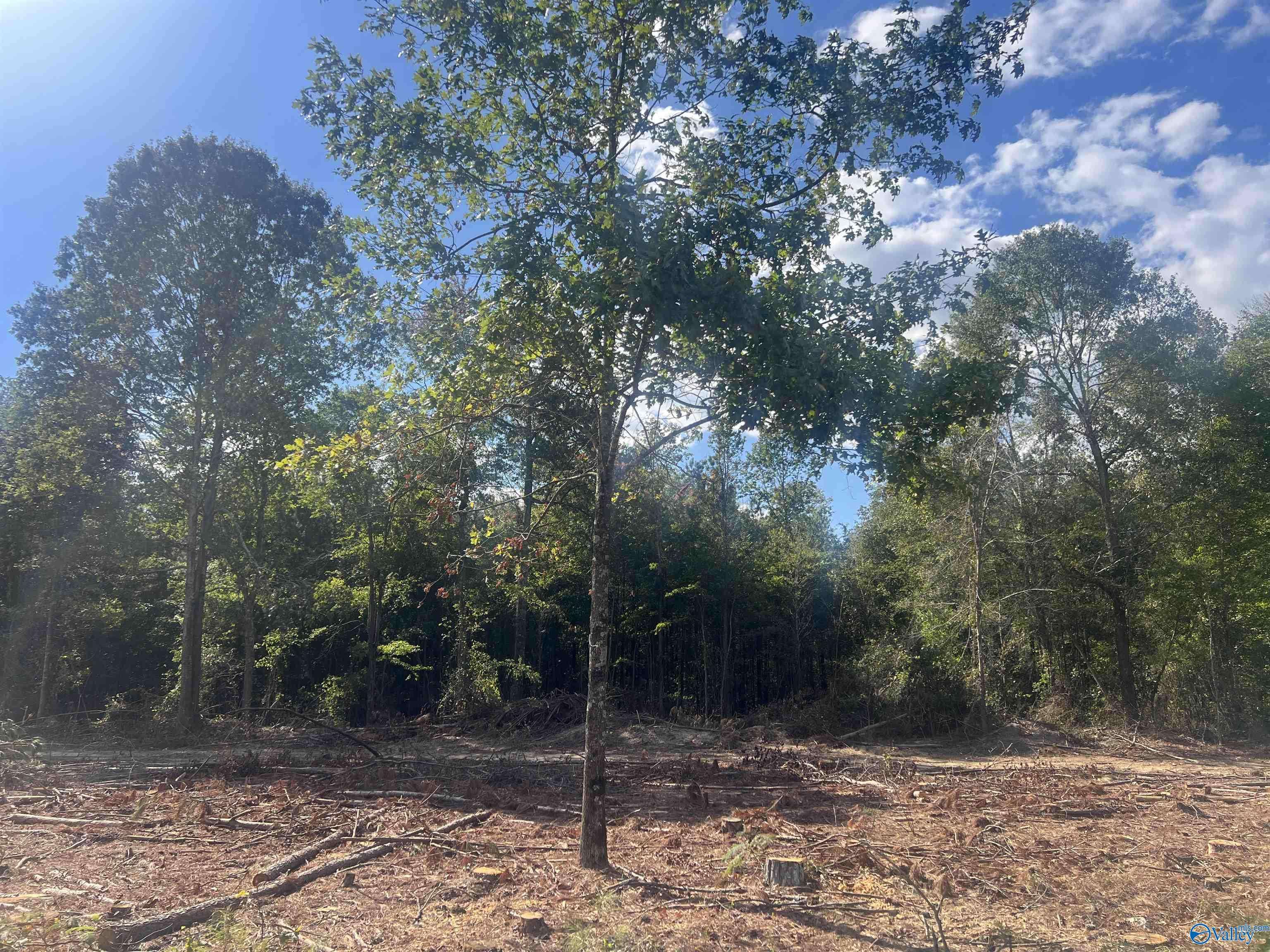 Cedar Bluff, AL 35959,Lot 4, Tract 3 Summer Breeze Drive