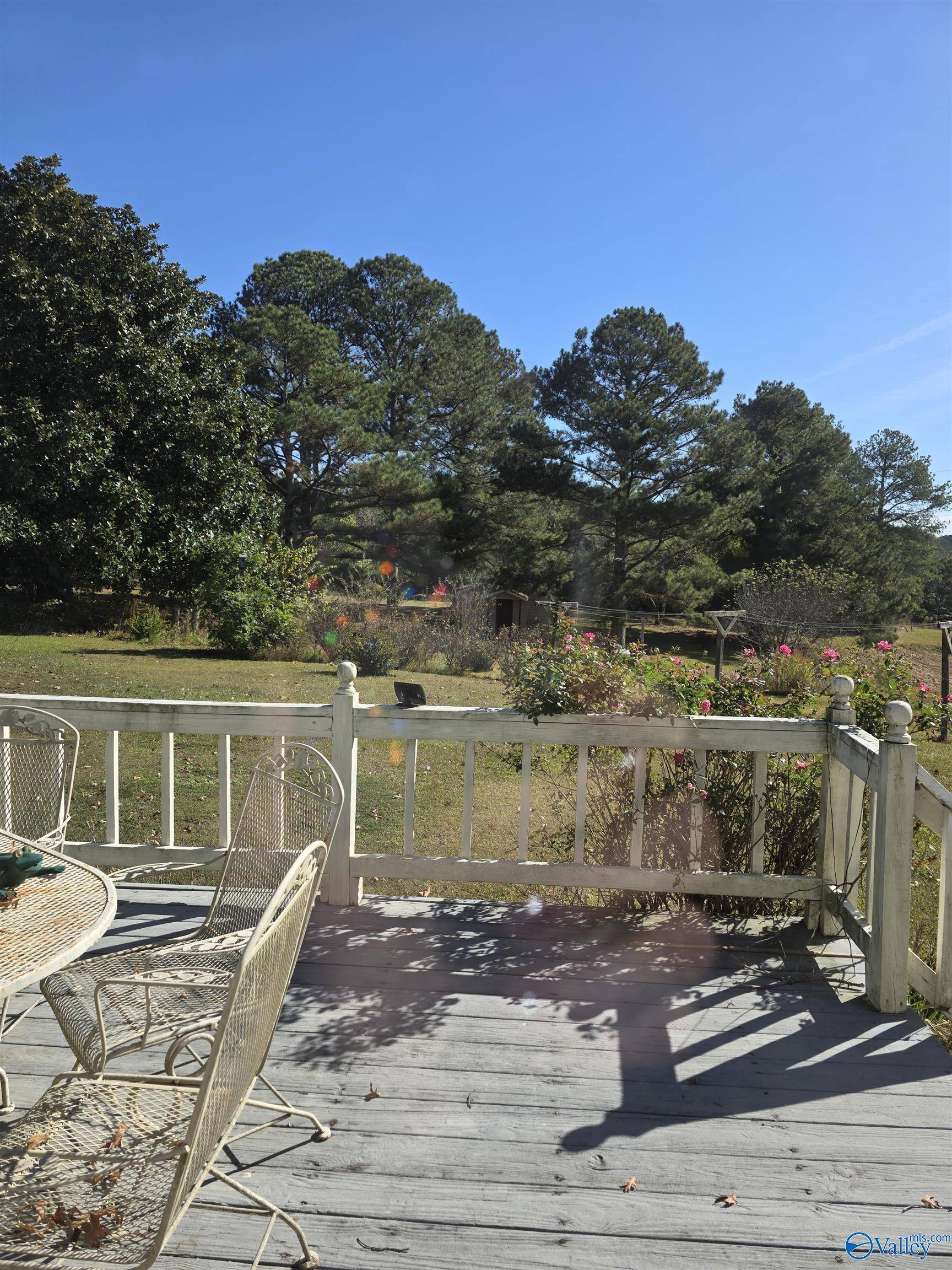 Falkville, AL 35622,113 co rd 1266 County Road