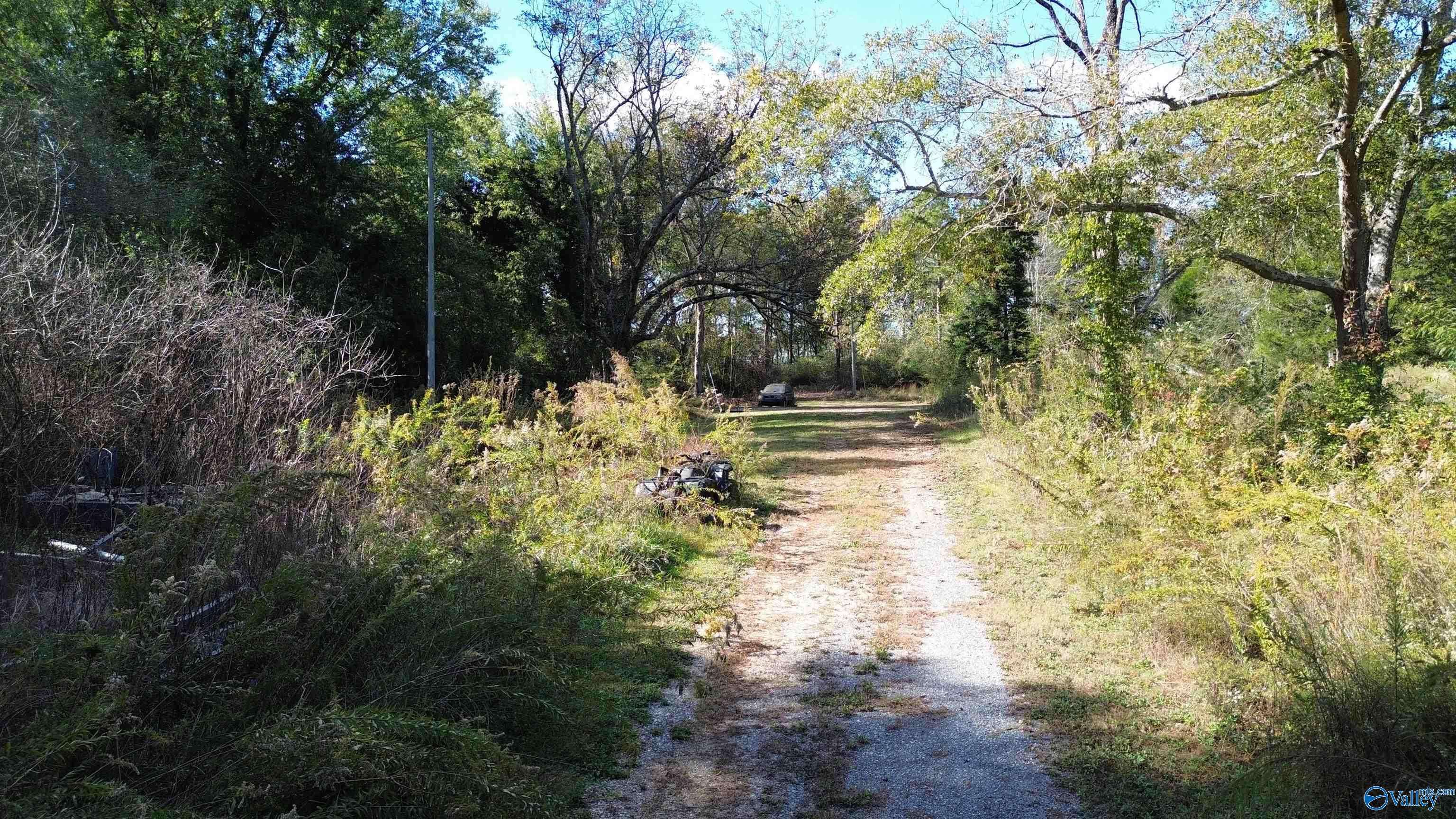 Sand Rock, AL 35983,250 Wildcat Woods