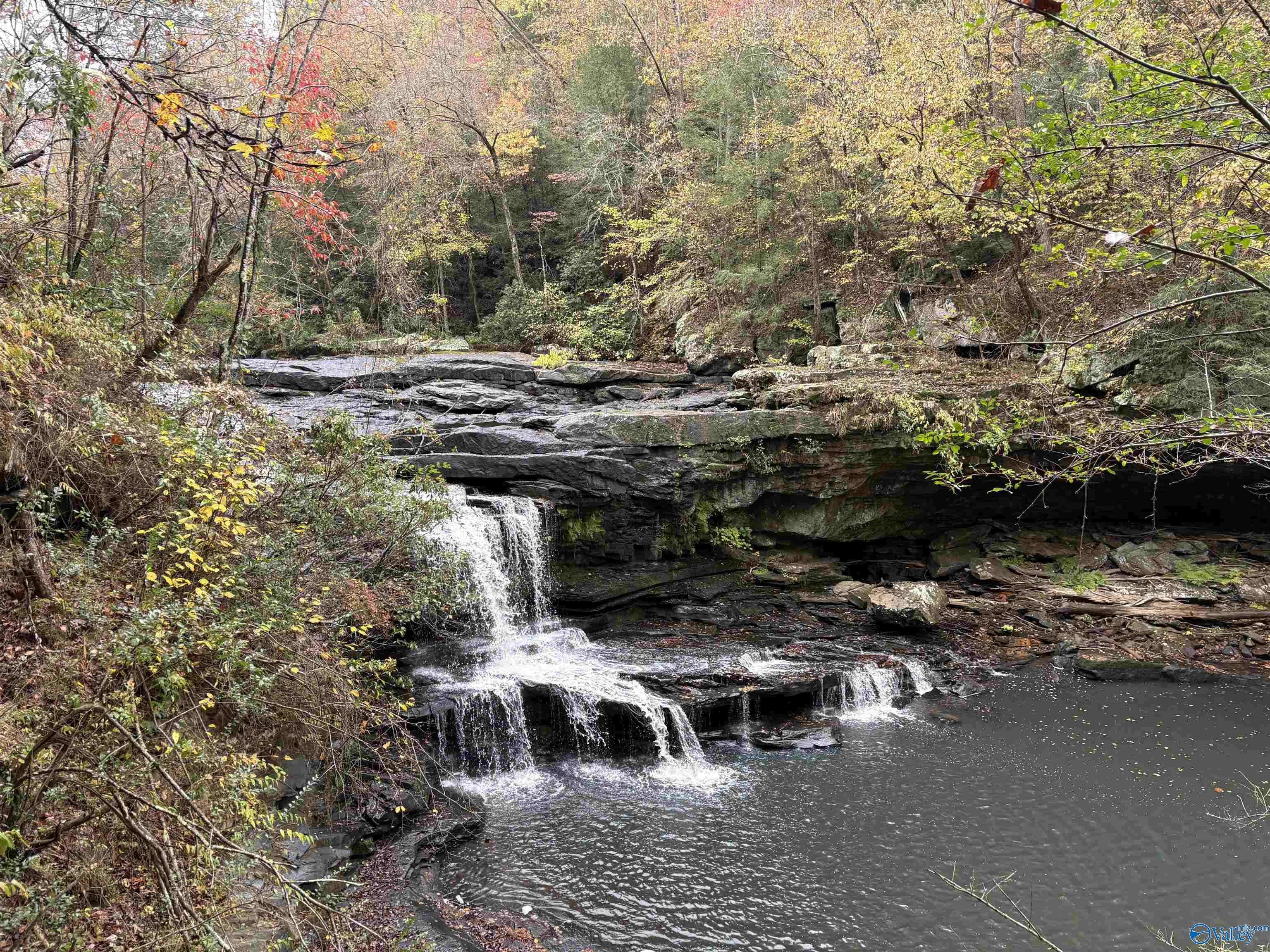 Pisgah, AL 35765,1130 County Road 376