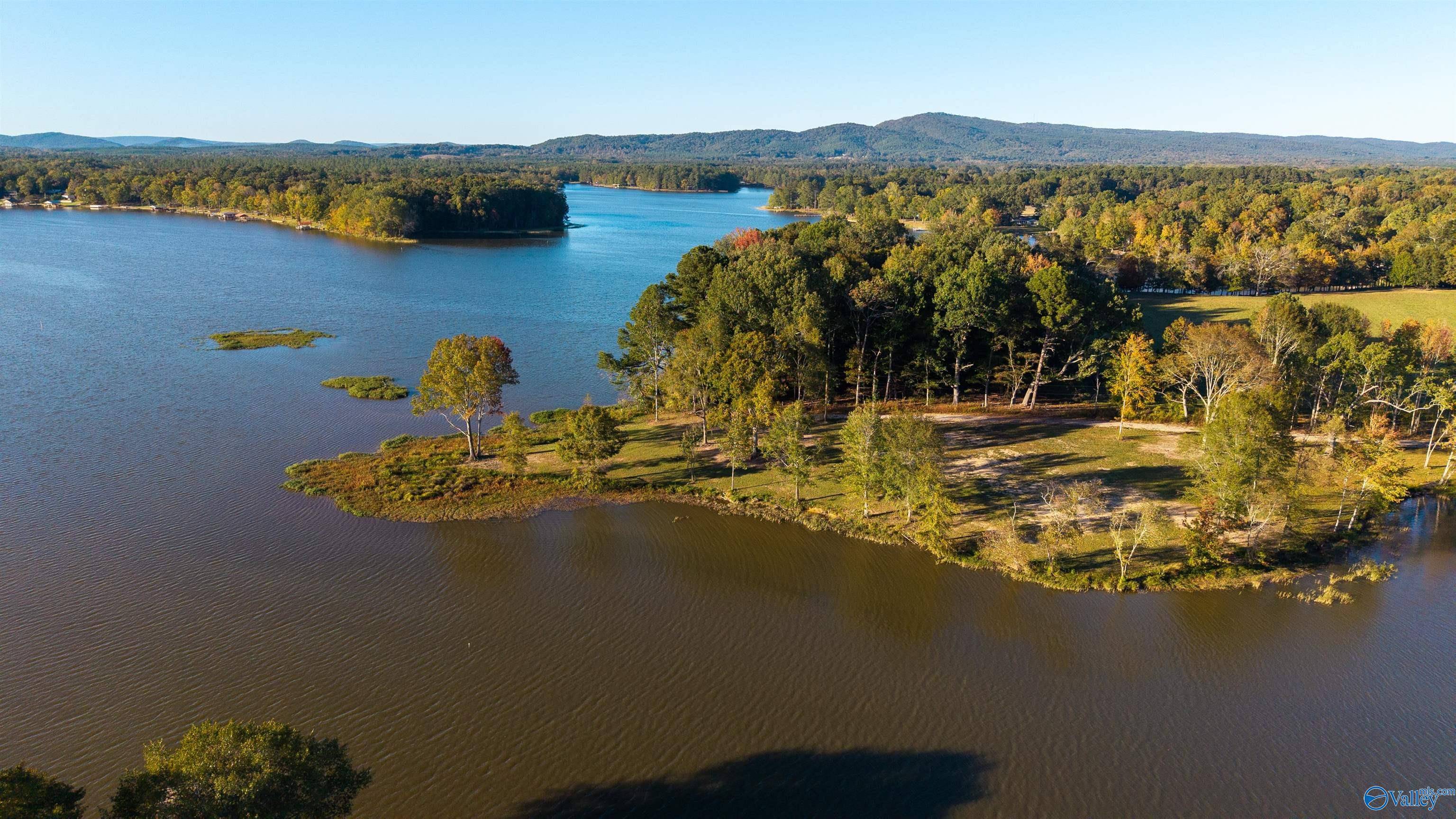 Cedar Bluff, AL 35959,Lot 27 County Road 115