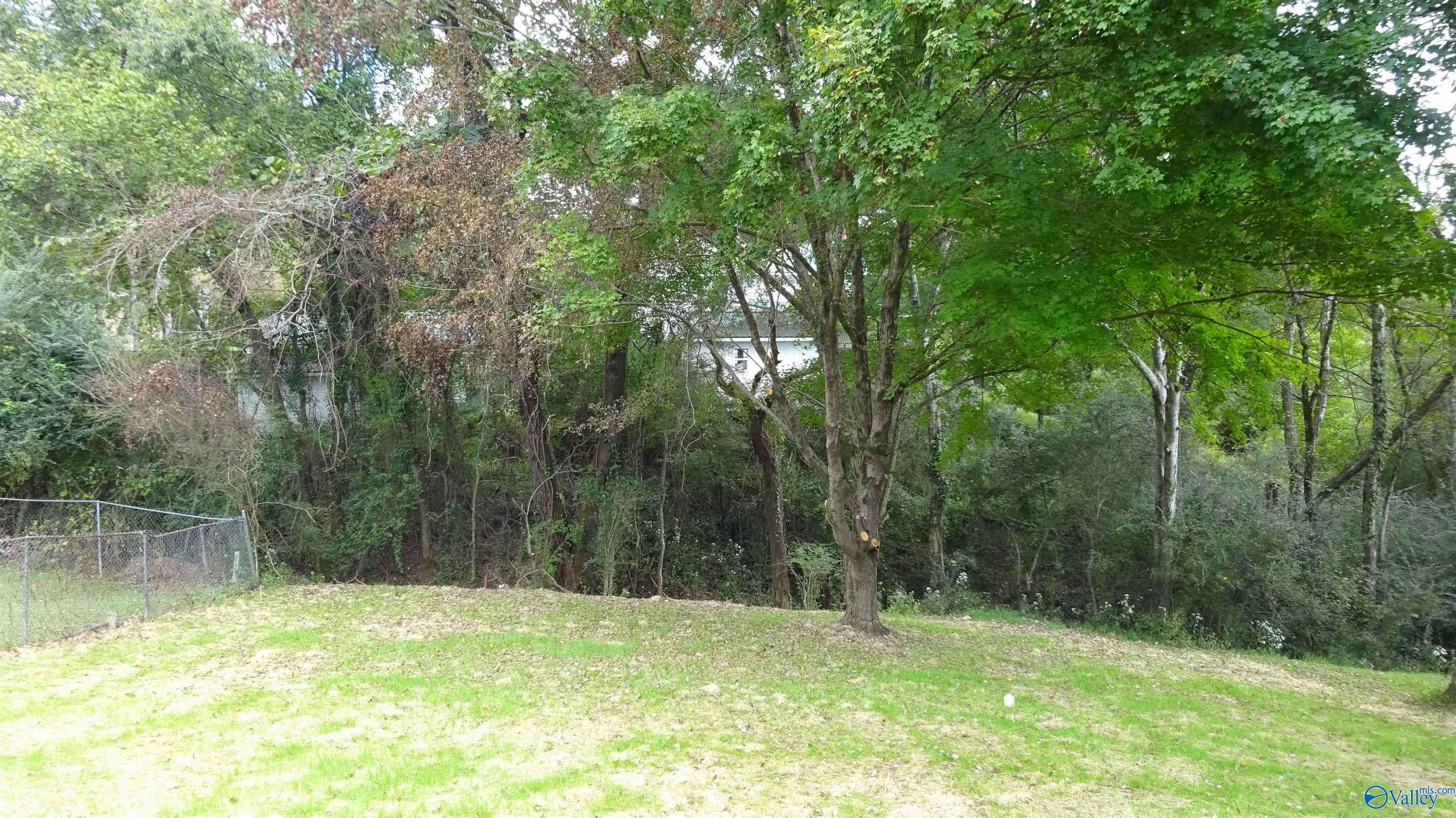 Elkmont, AL 35620,24380 Sycamore Lane