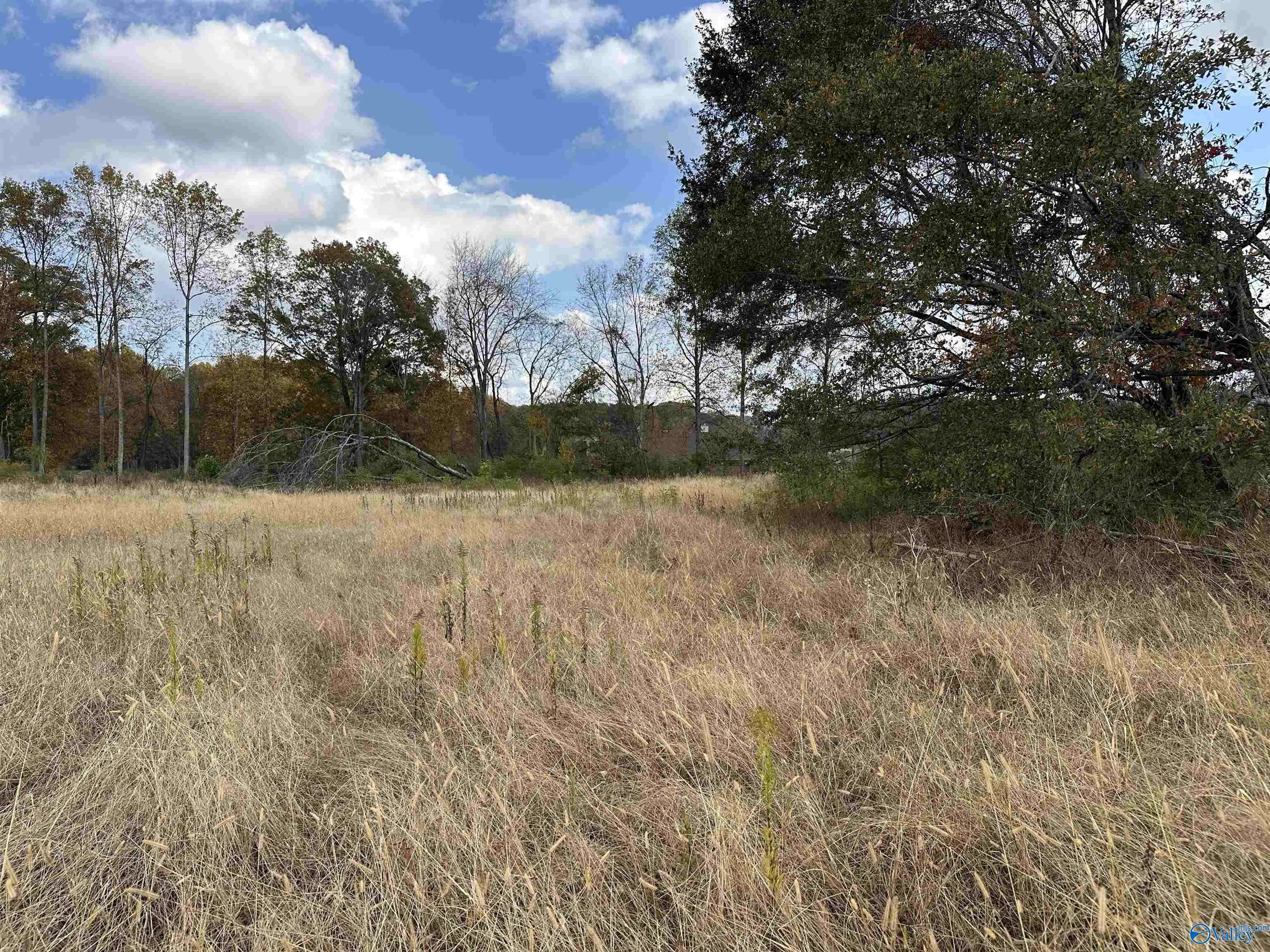 Harvest, AL 35749,5.4 Acres Burwell Road