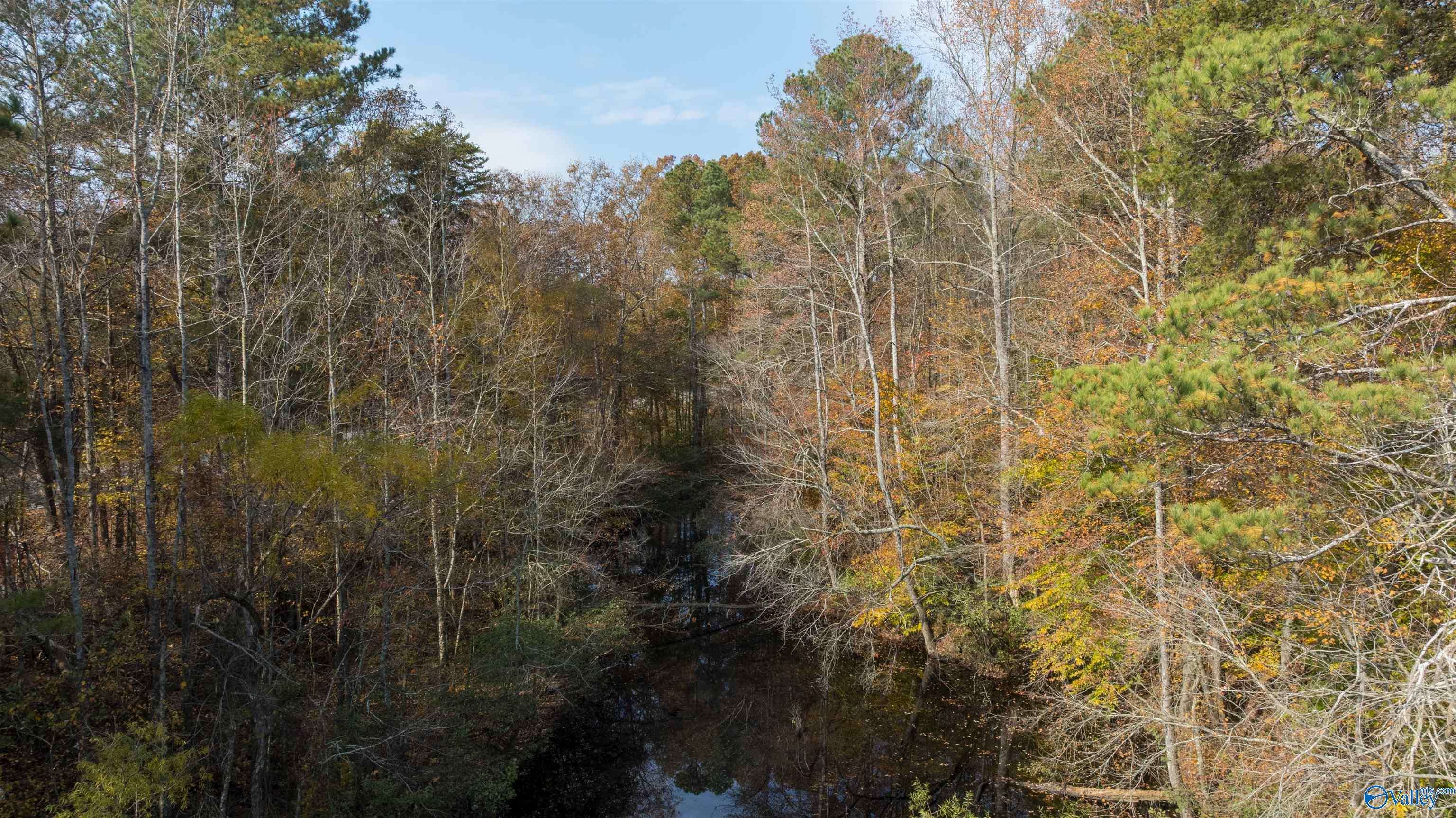 Fort Payne, AL 35968,6.7+/-acres County Road 85