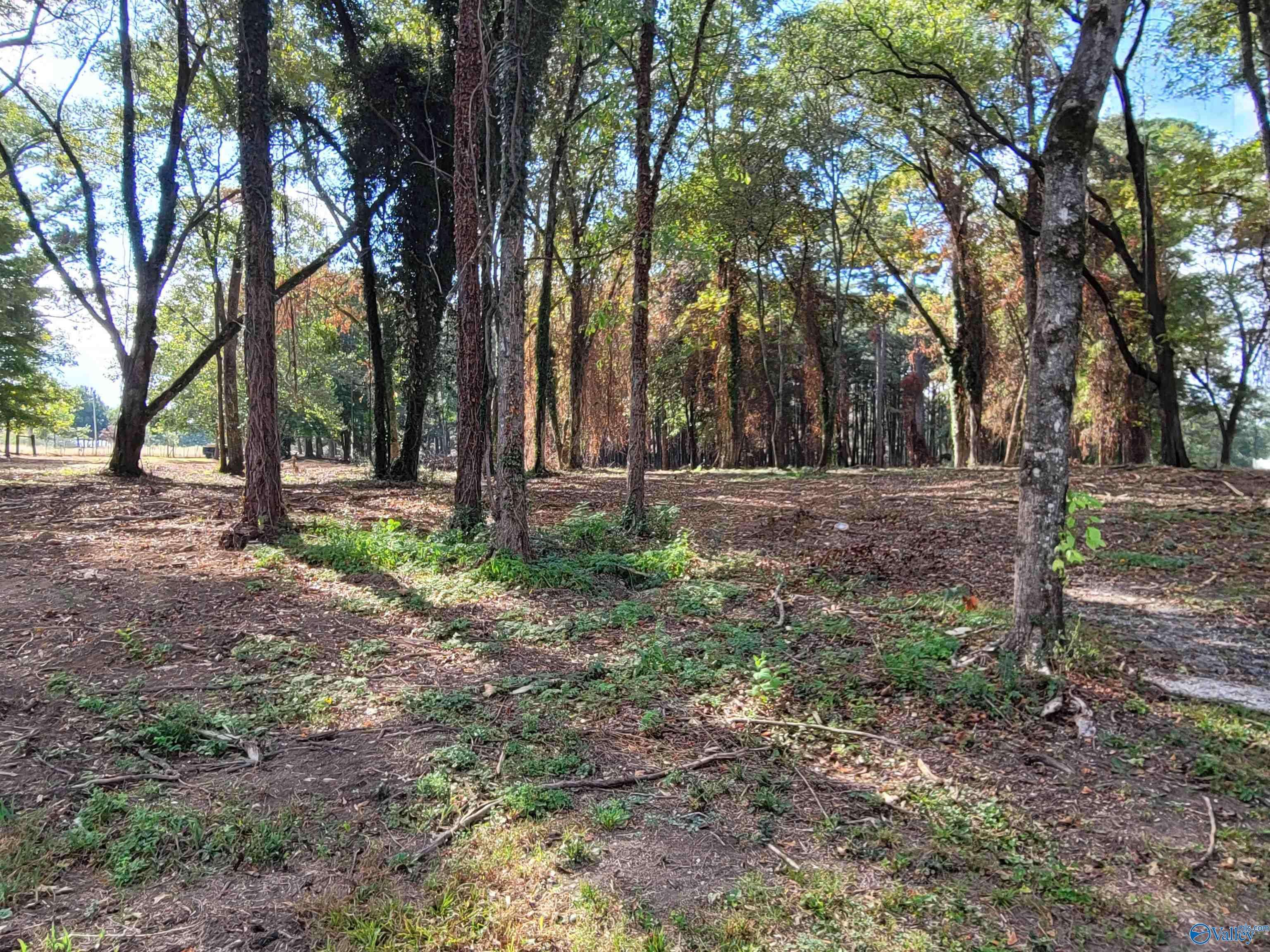 Cullman, AL 35055,107 Convent Road NE