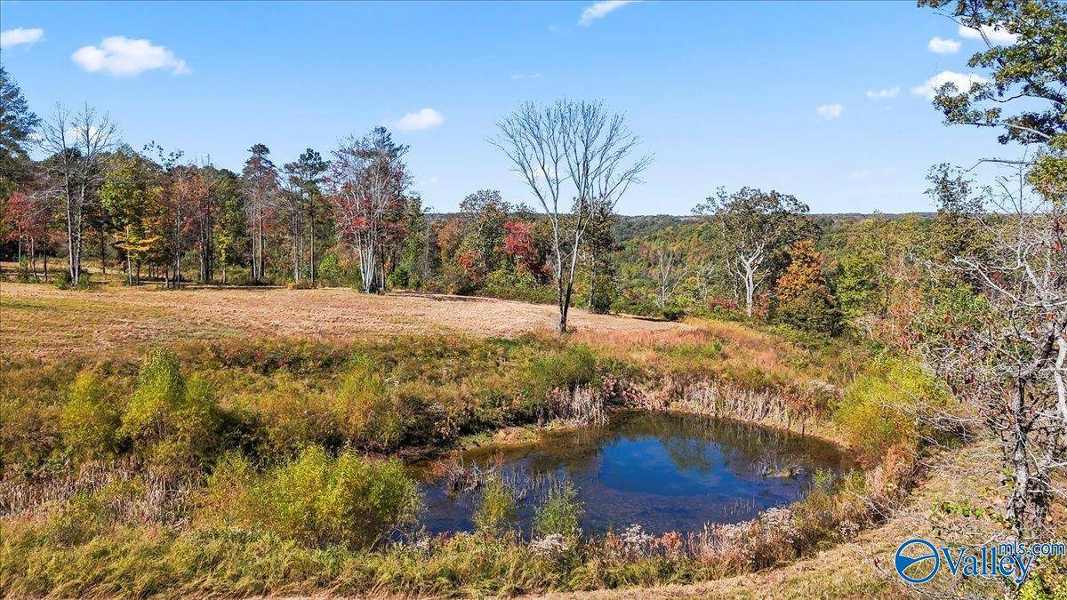 Scottsboro, AL 35769,474 Mccorkle Mountain Road