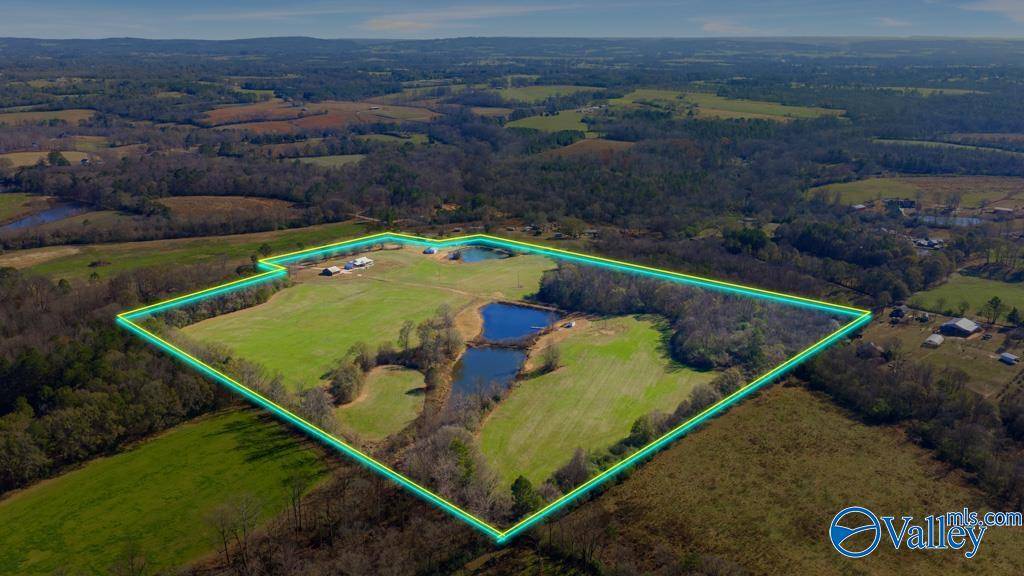 Horton, AL 35980,1283 Moman Road