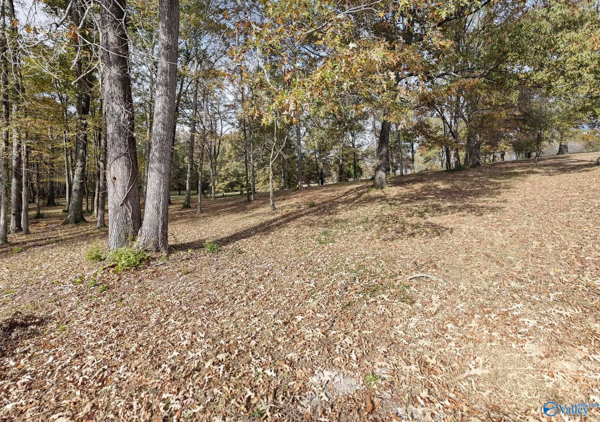 Scottsboro, AL 35769,1.77 Ac Riverview Circle