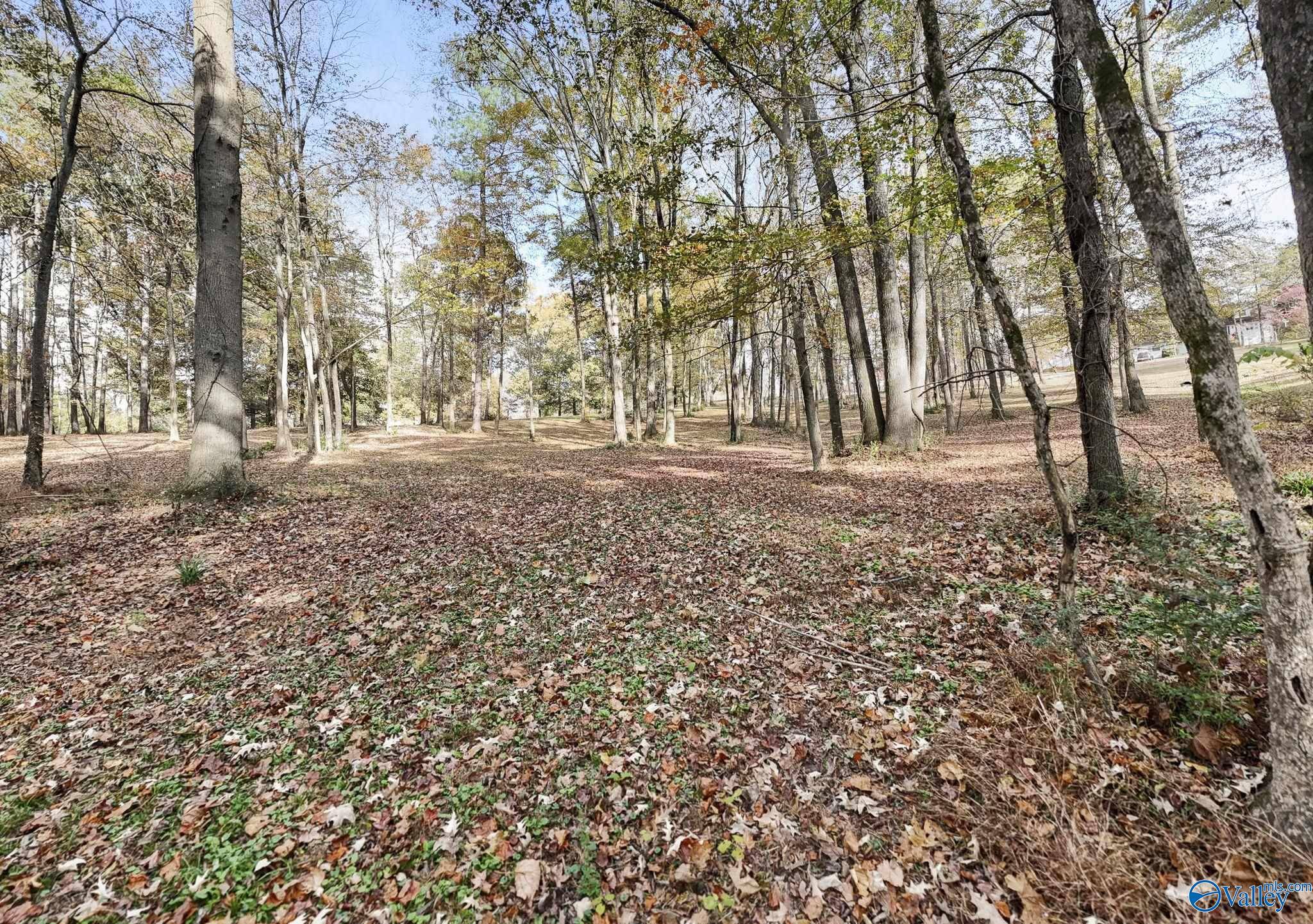 Scottsboro, AL 35769,1.77 Ac Riverview Circle