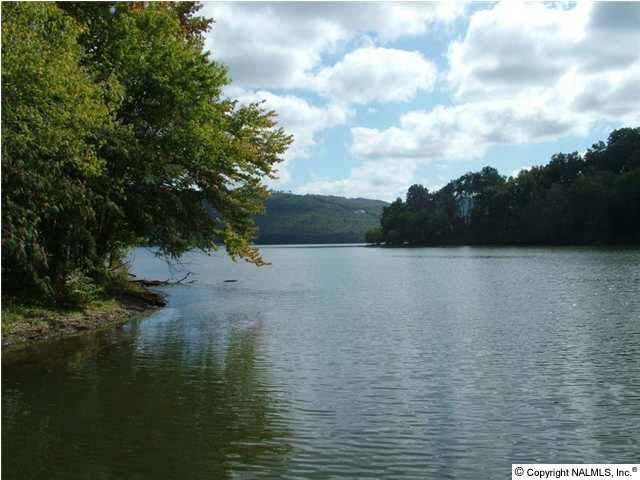 Scottsboro, AL 35769,10 Watersound Lane