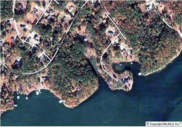 Scottsboro, AL 35769,9 Watersound Lane