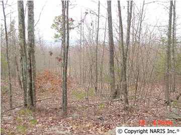 Fort Payne, AL 35967,4215 Citadel Rock Road