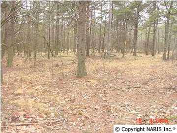 Fort Payne, AL 35967,4215 Citadel Rock Road