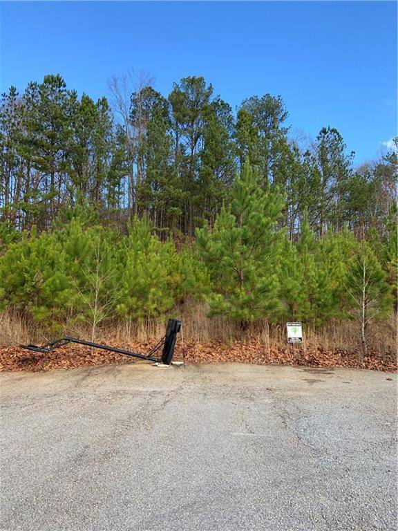Temple, GA 30179,444 Clematis CT