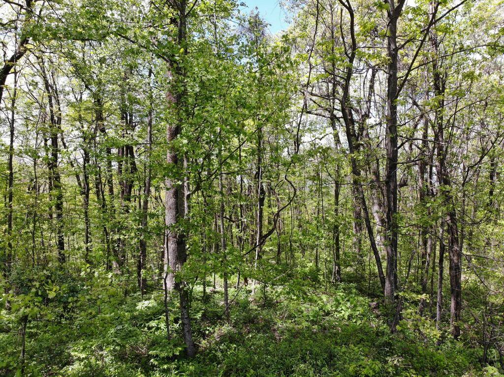 Dawsonville, GA 30534,0 Burnt Mountain Cove RD