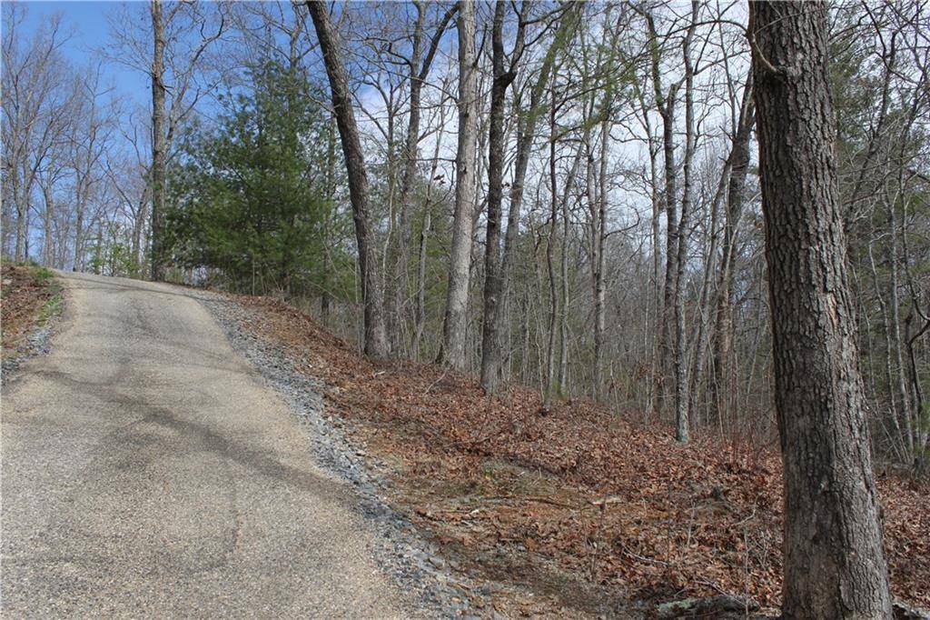 Blue Ridge, GA 30559,170 Old Toccoa Loop