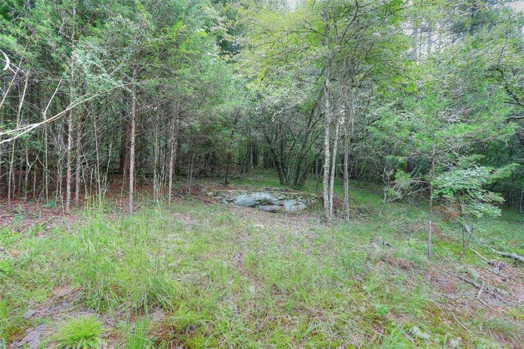 Lawrenceville, GA 30045,3013 Callie Still RD