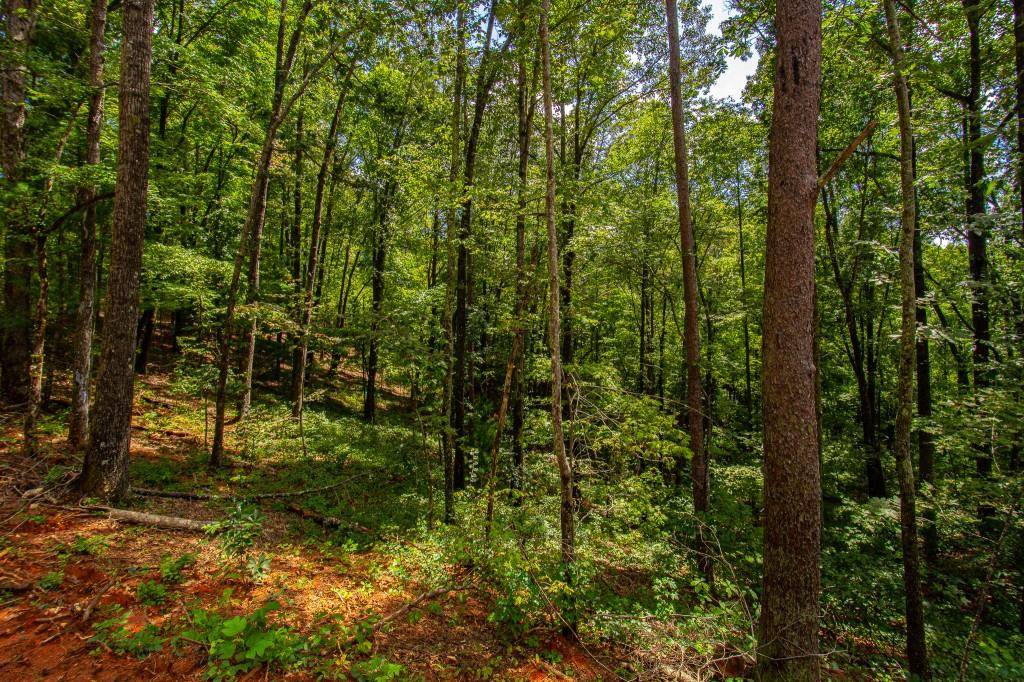 Dahlonega, GA 30533,0 Camp Wahsega RD