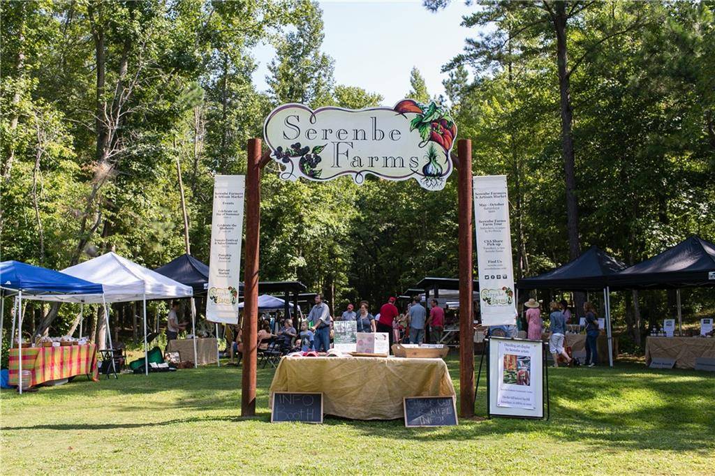 Chattahoochee Hills, GA 30268,10944 Serenbe Lane