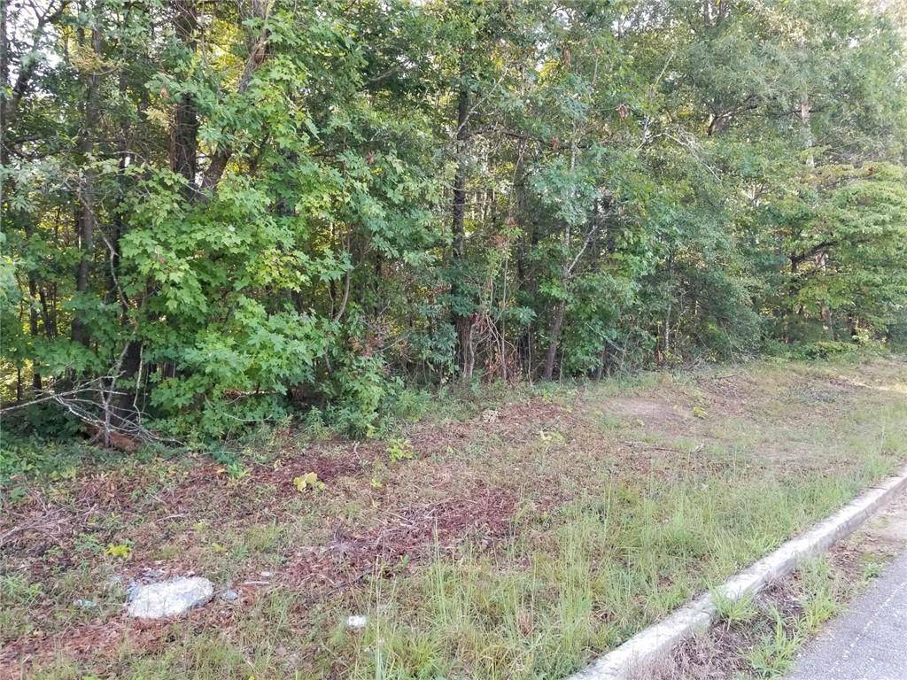 Flowery Branch, GA 30542,4885 Hog Mountain RD