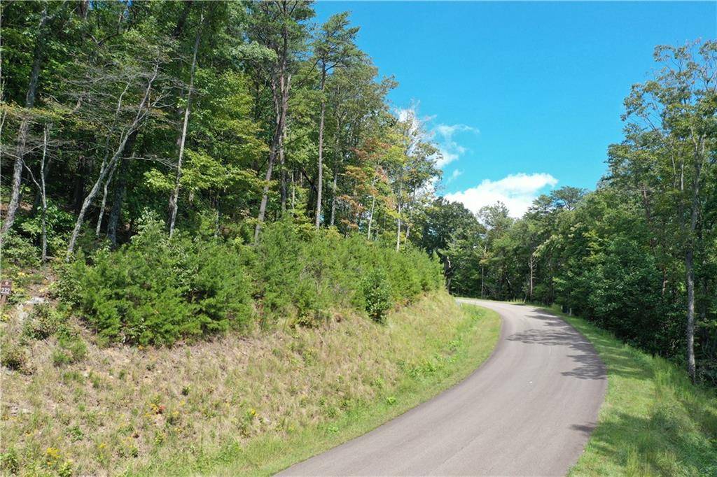 Ellijay, GA 30536,232 Stone Cliff DR