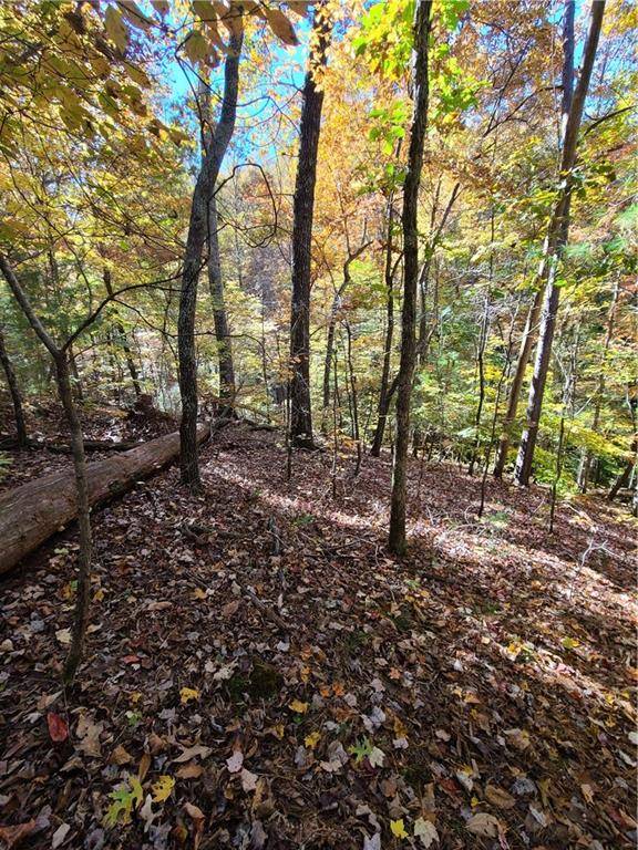 Ellijay, GA 30540,230 Tranquility Cove RD