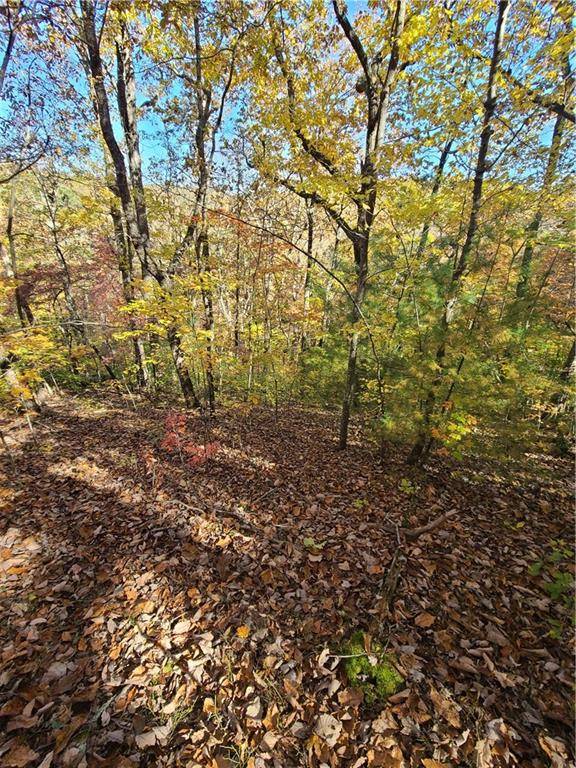 Ellijay, GA 30540,230 Tranquility Cove RD