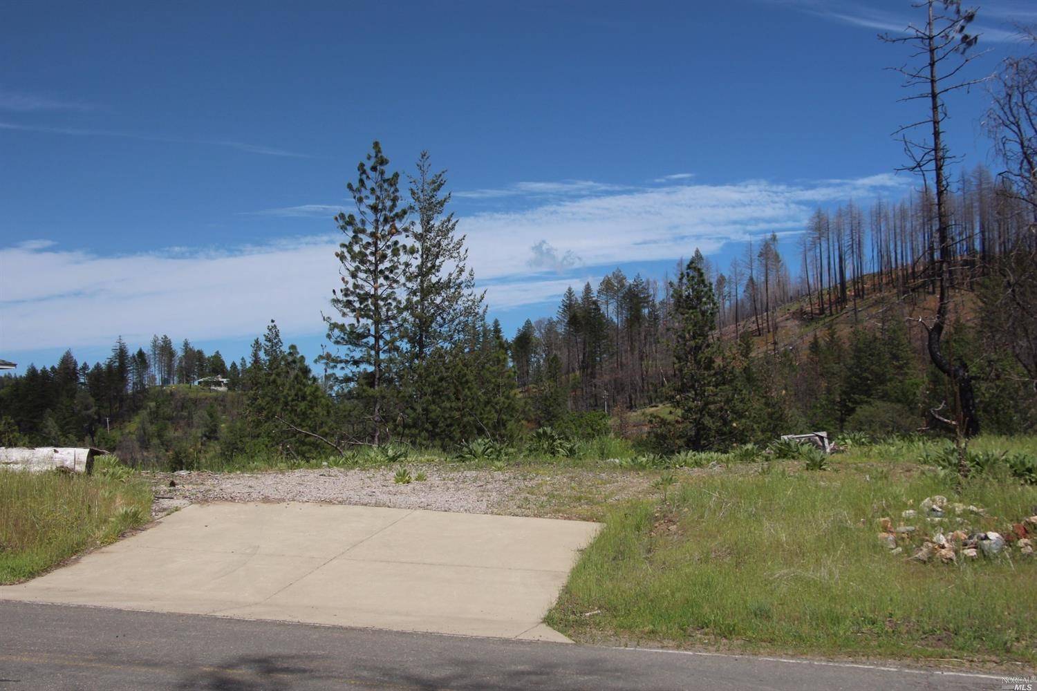 Cobb, CA 95426,14636 Lema LN