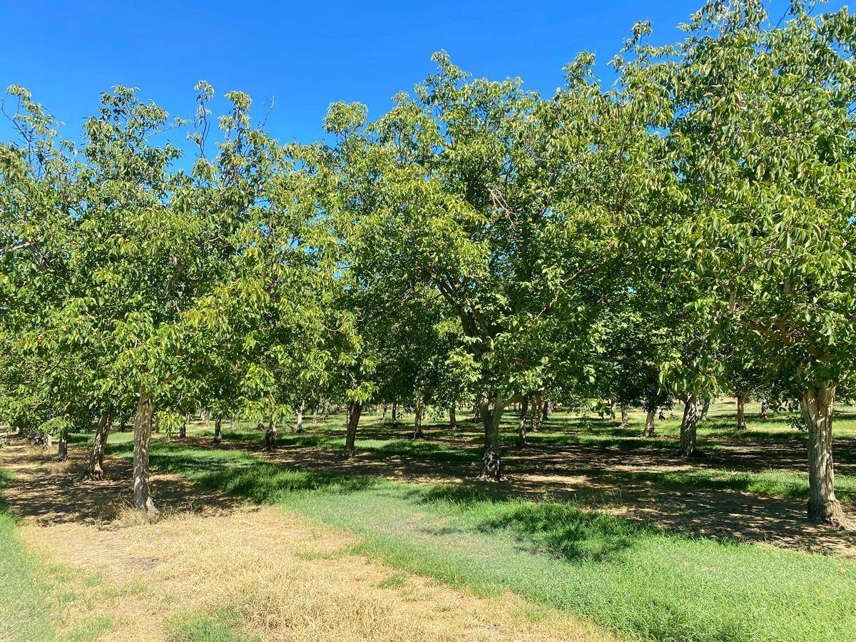 Winters, CA 95694,0 County Road 92F