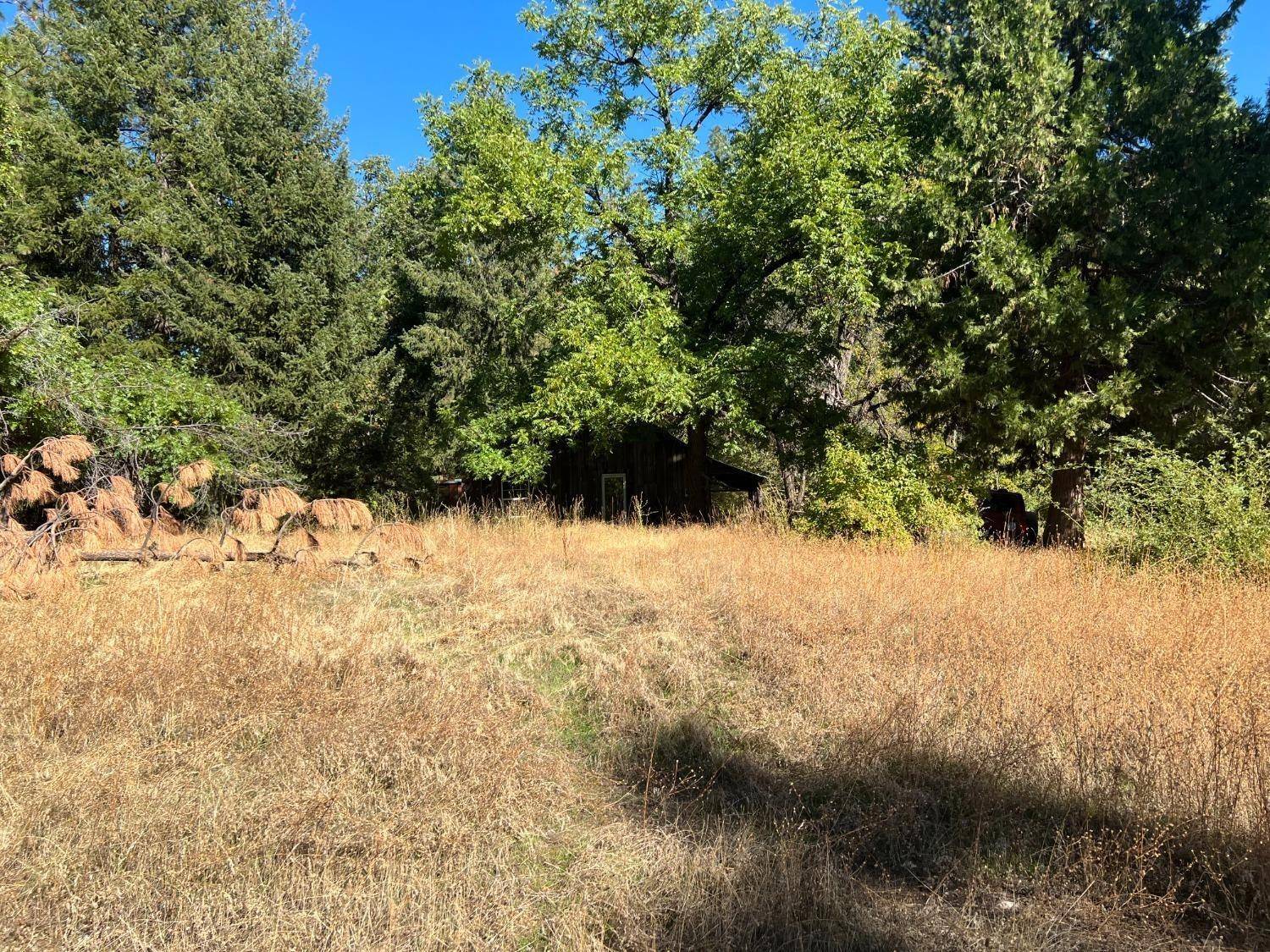 Grass Valley, CA 95945,17506 Lowell Hill RD