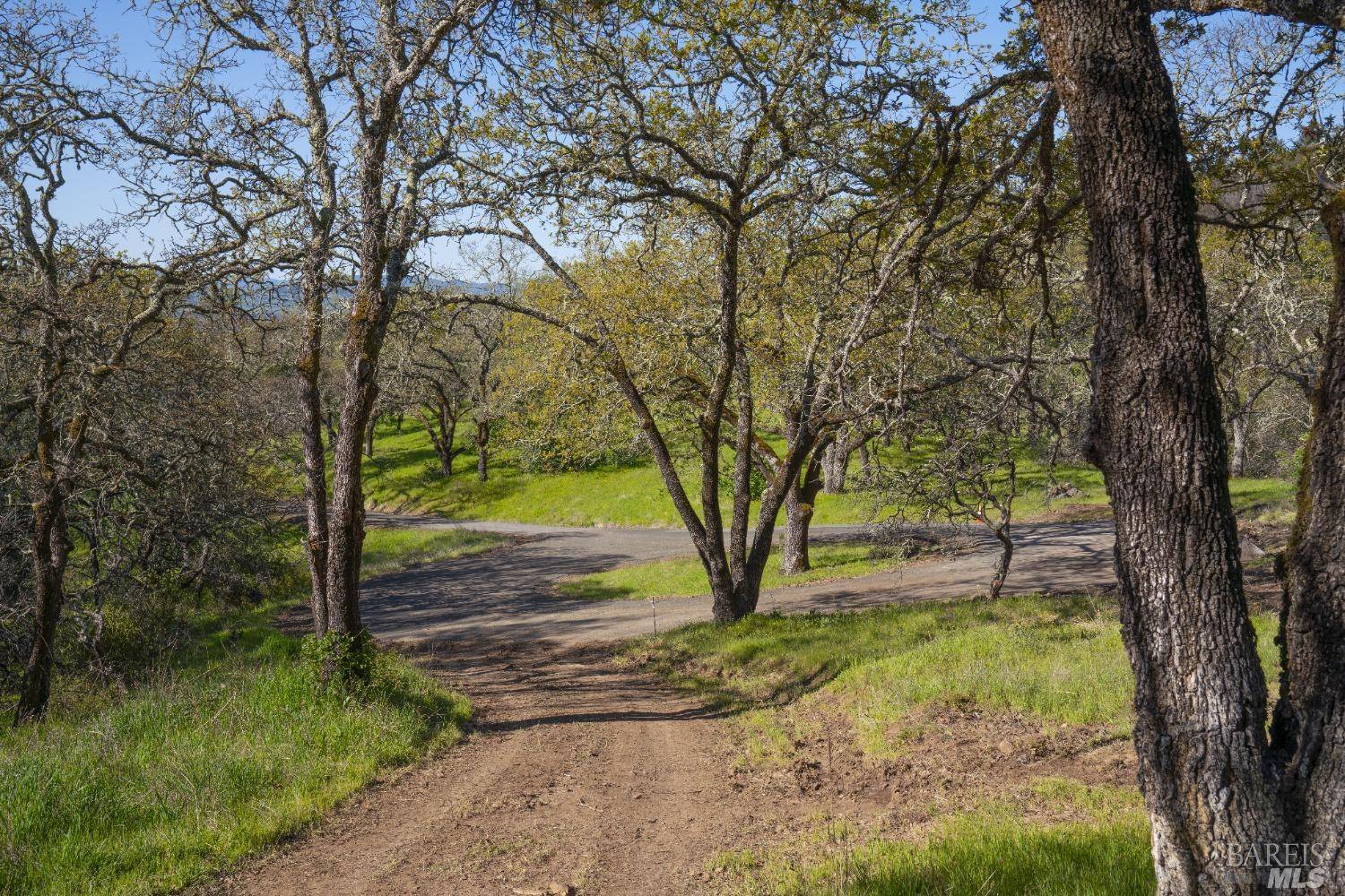 Sonoma, CA 95476,200 Desnudos WAY