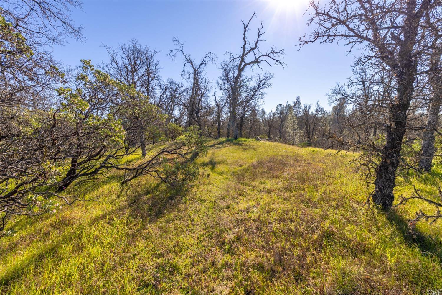 Cottonwood, CA 96022,0 Lot 1 Quailridge HLS