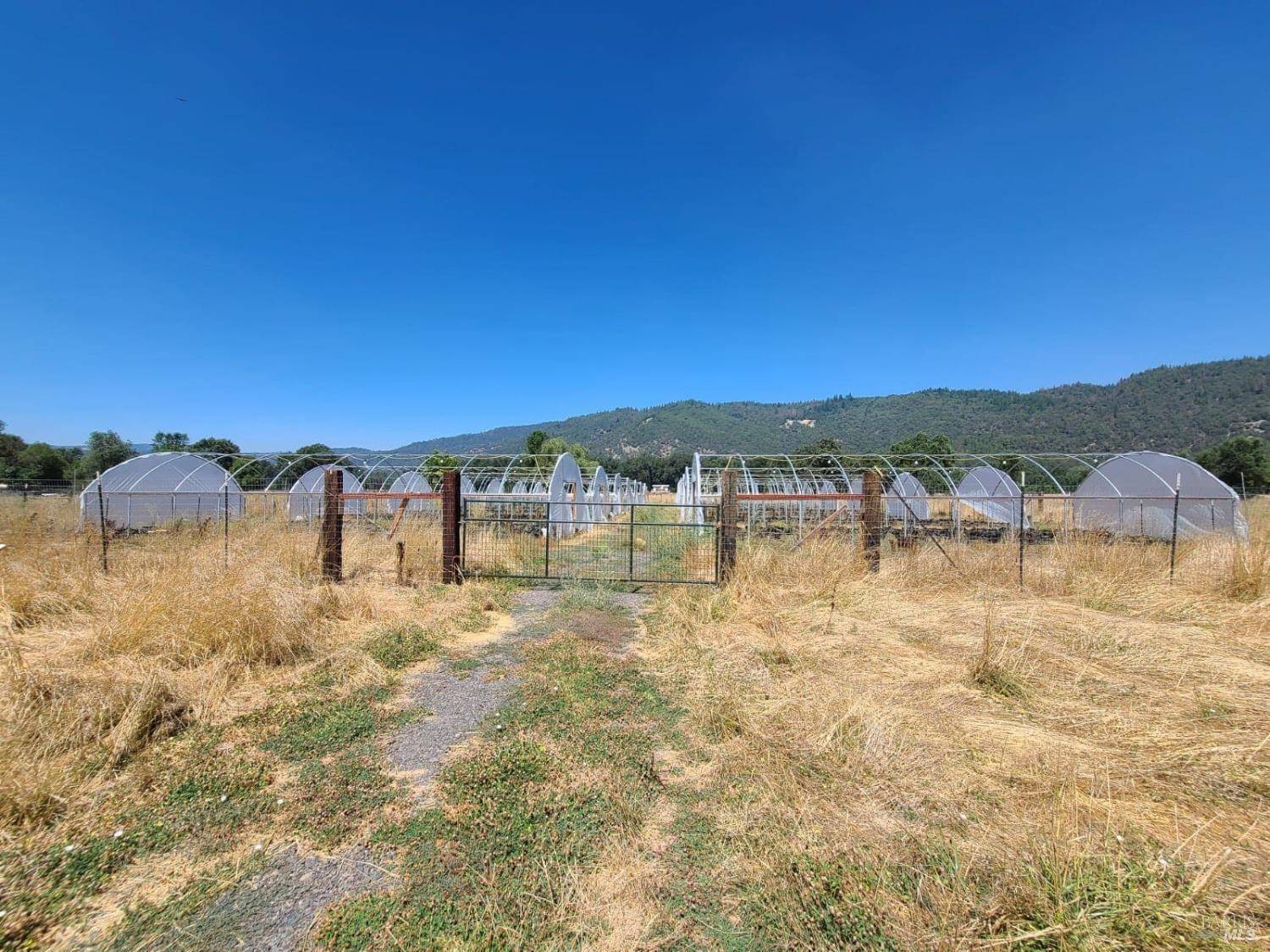 Covelo, CA 95428,24700 Mendocino Pass RD