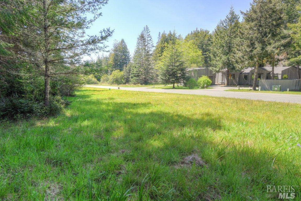 The Sea Ranch, CA 95497,42207 Deer TRL