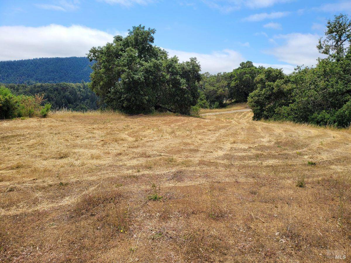 Healdsburg, CA 95448,2365 Sweetwater Springs RD