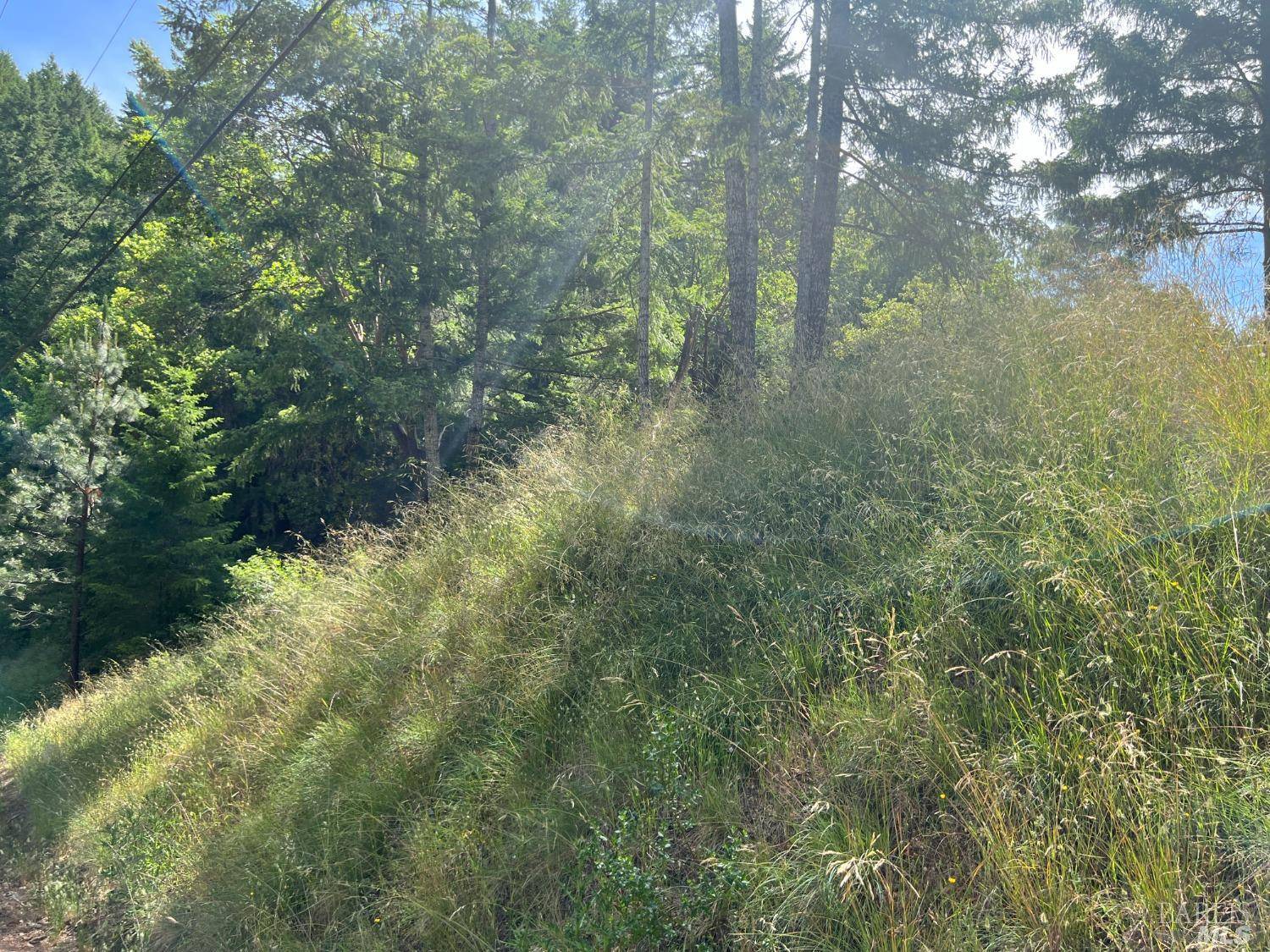 Willits, CA 95490,1178 Madrone CIR
