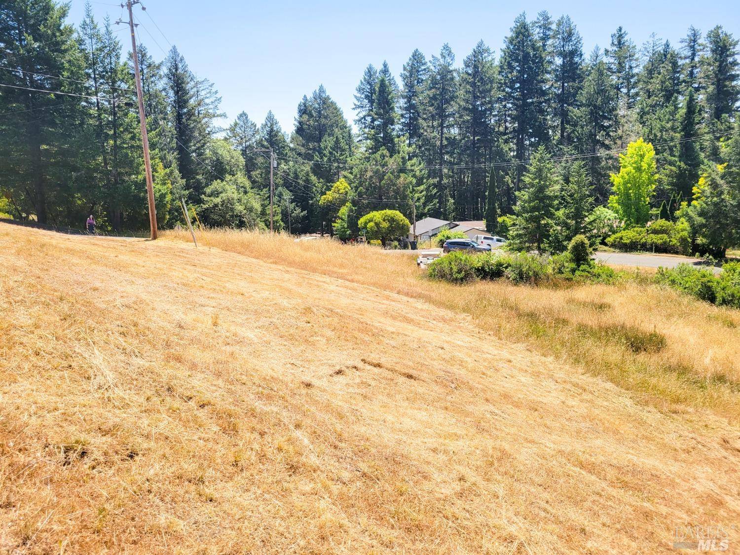 Willits, CA 95490,2891 Primrose DR