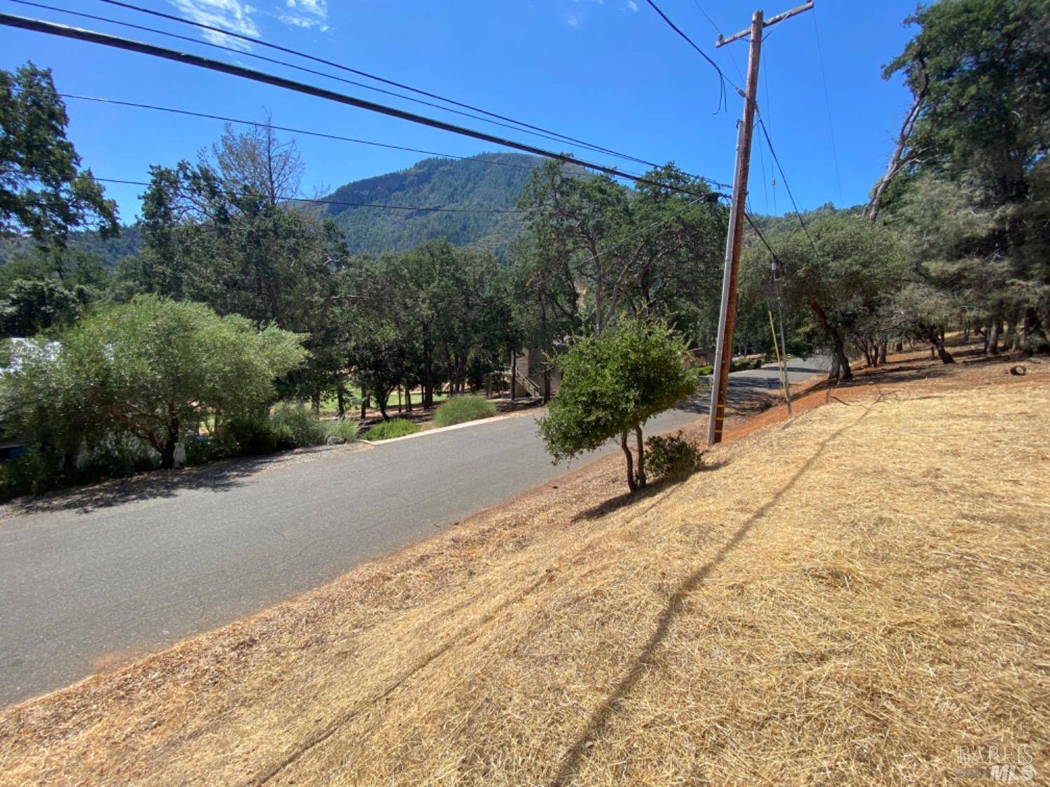 Kelseyville, CA 95451,2671 Greenway DR