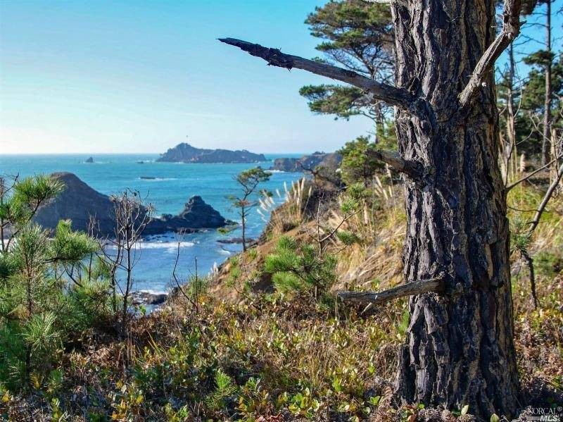 Anchor Bay, CA 95445,35700 S Highway 1