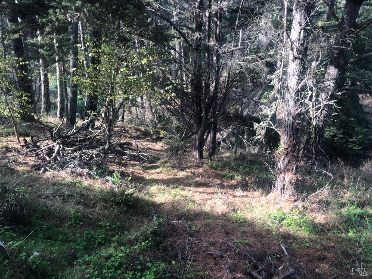 Bolinas, CA 94924,387 Ocean Pkwy